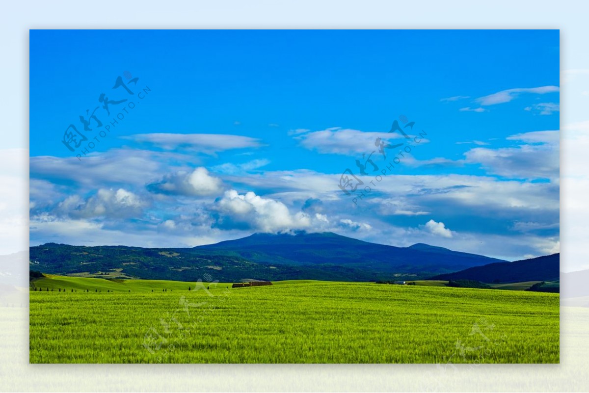 风景