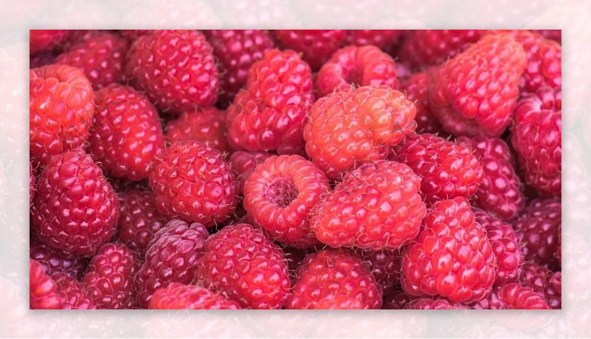 浆果山莓