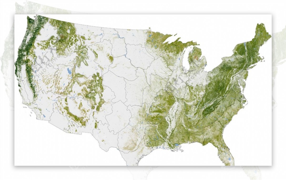 美国绿植覆盖地图