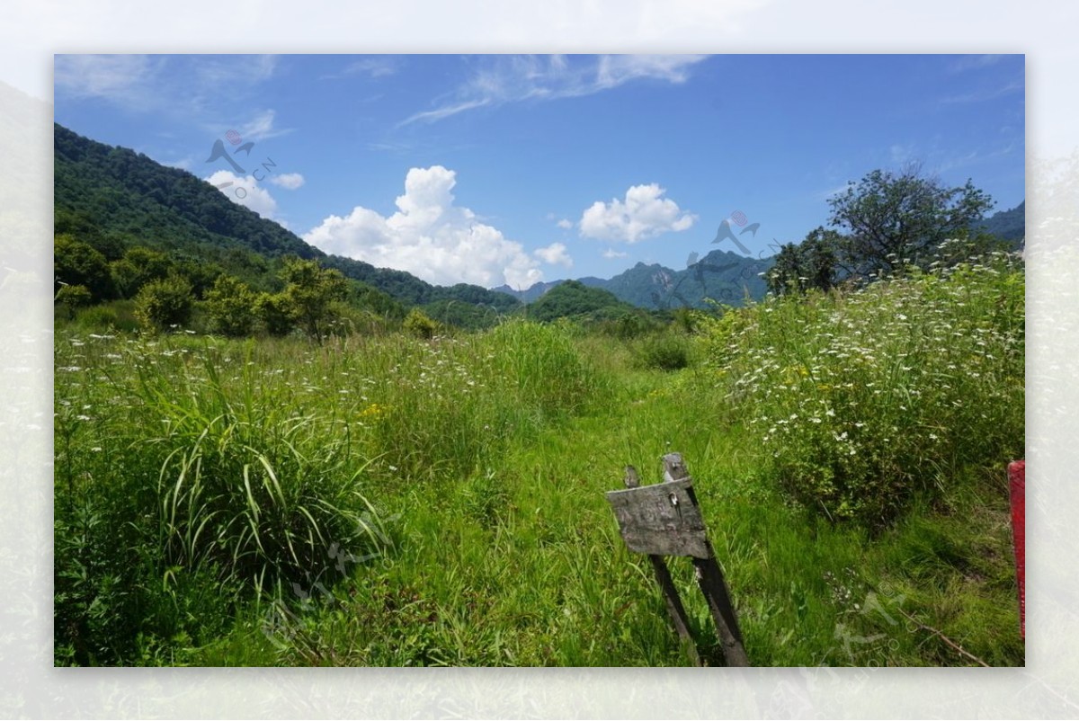 蓝天下的草地风景