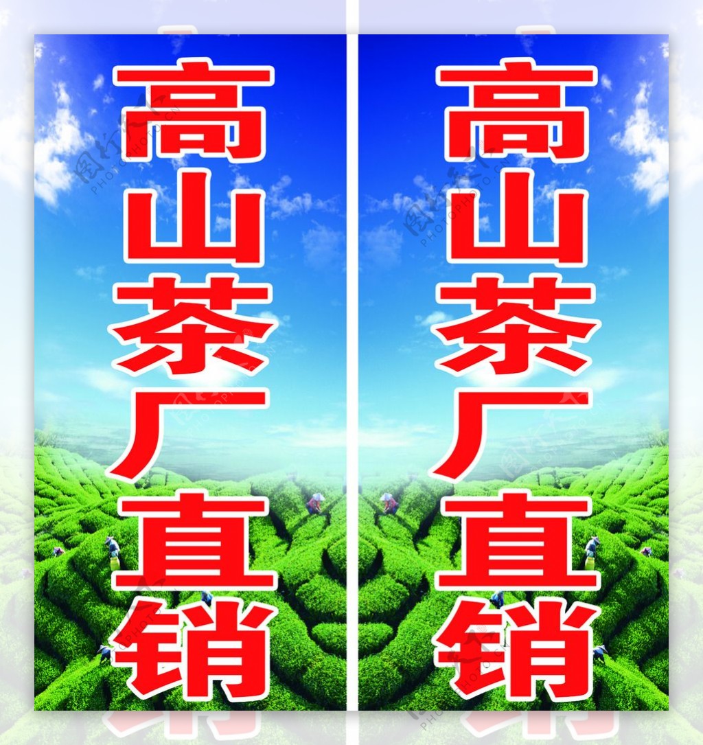 高山茶厂直销