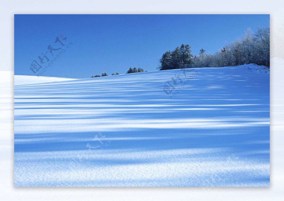 雪原美景