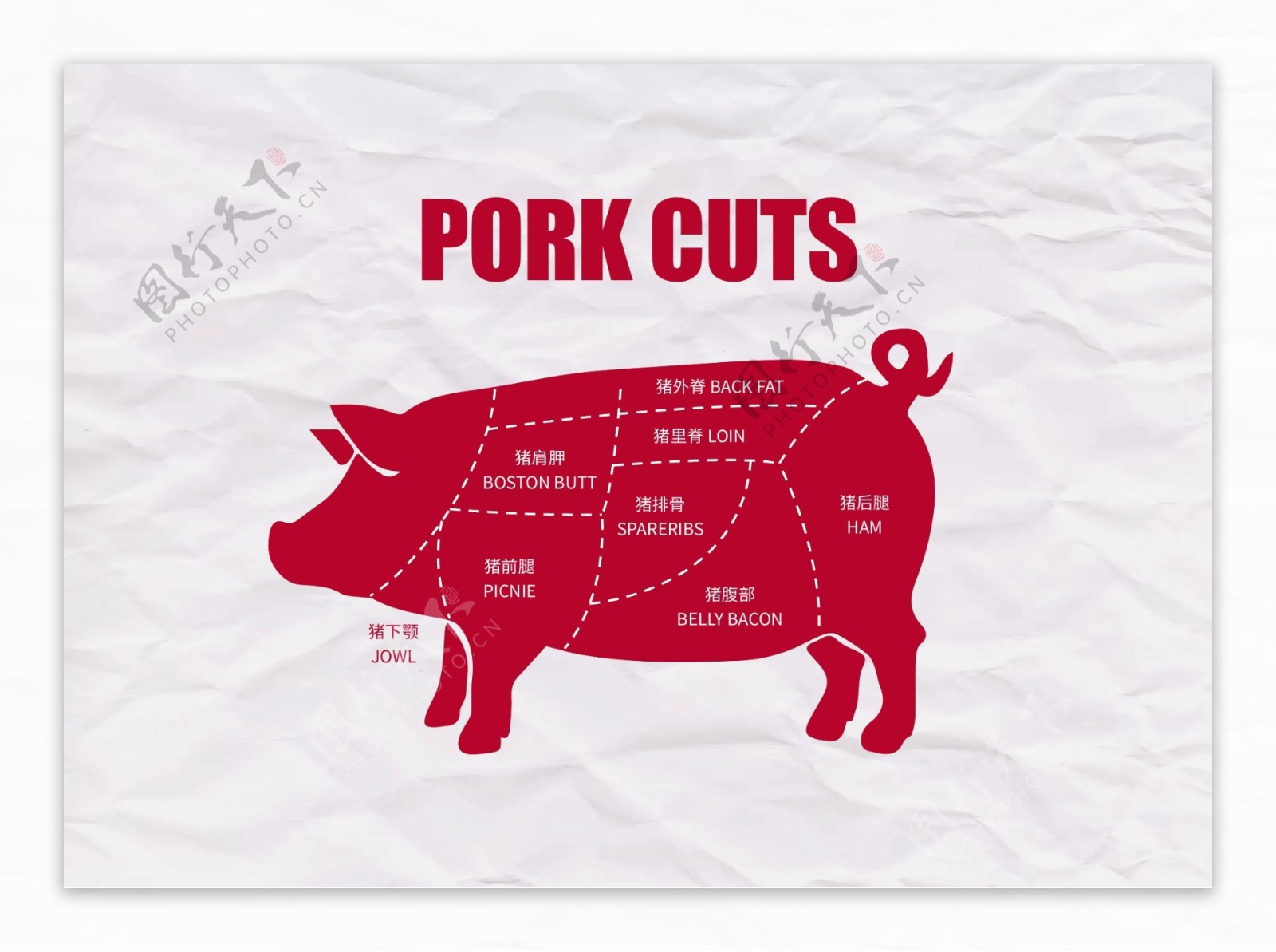 猪肉牛肉部位分解图