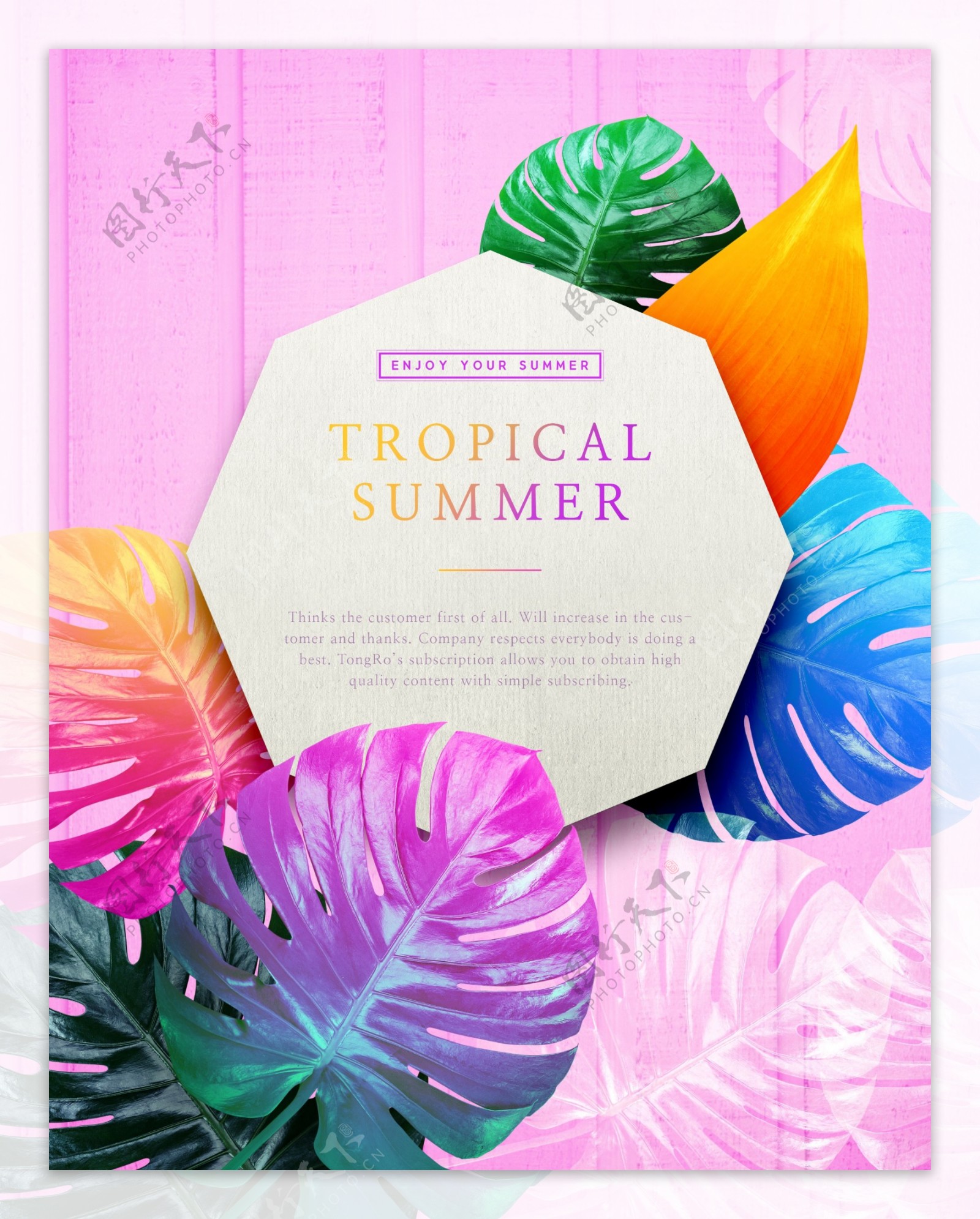 五彩热带植物树叶海报设计