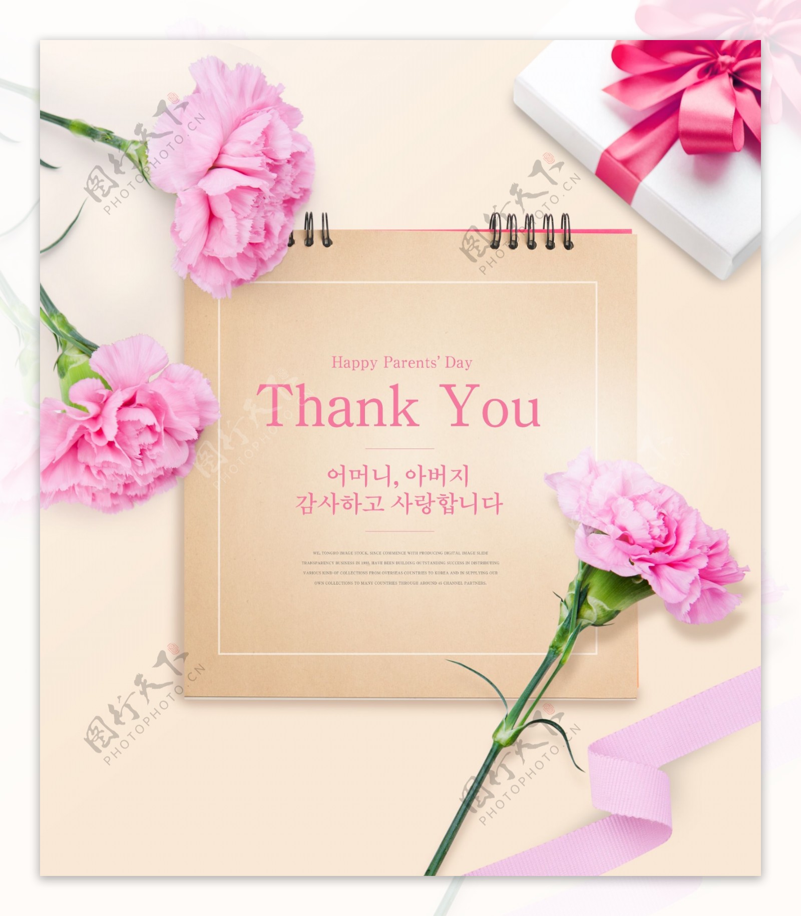 韩系父亲节粉色康乃馨丝带礼物贺卡海报设计
