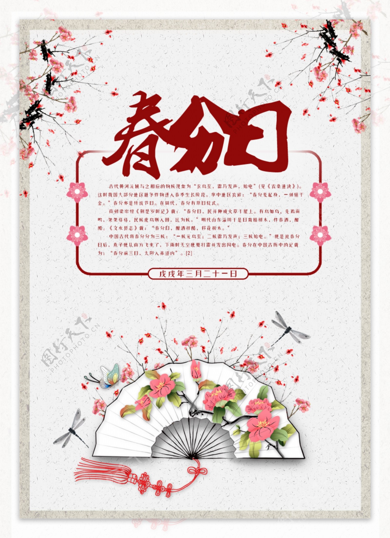 春分日二十四节气花朵诗意淡雅海报