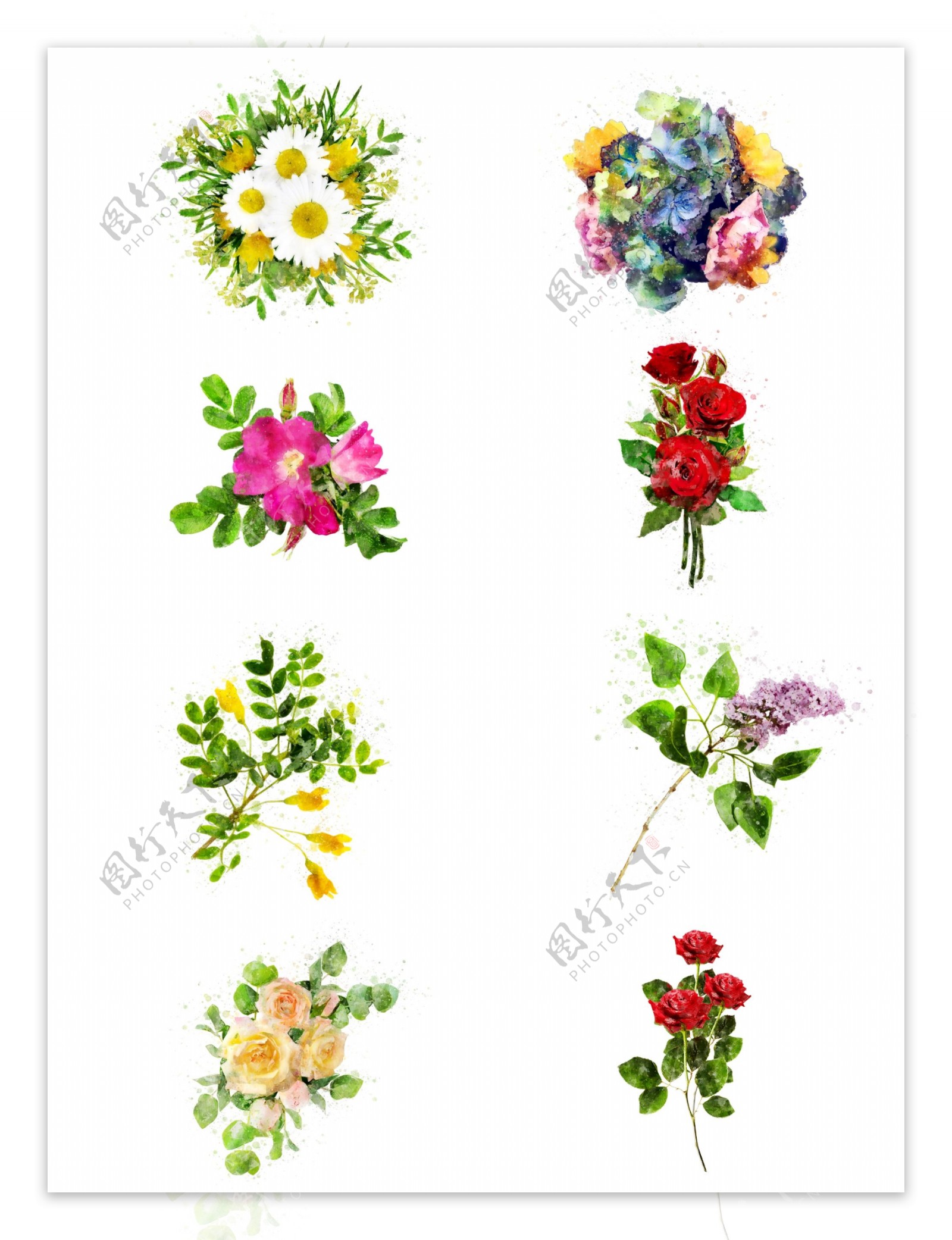 手绘玫瑰绣球花彩色植物花卉水彩元素合集