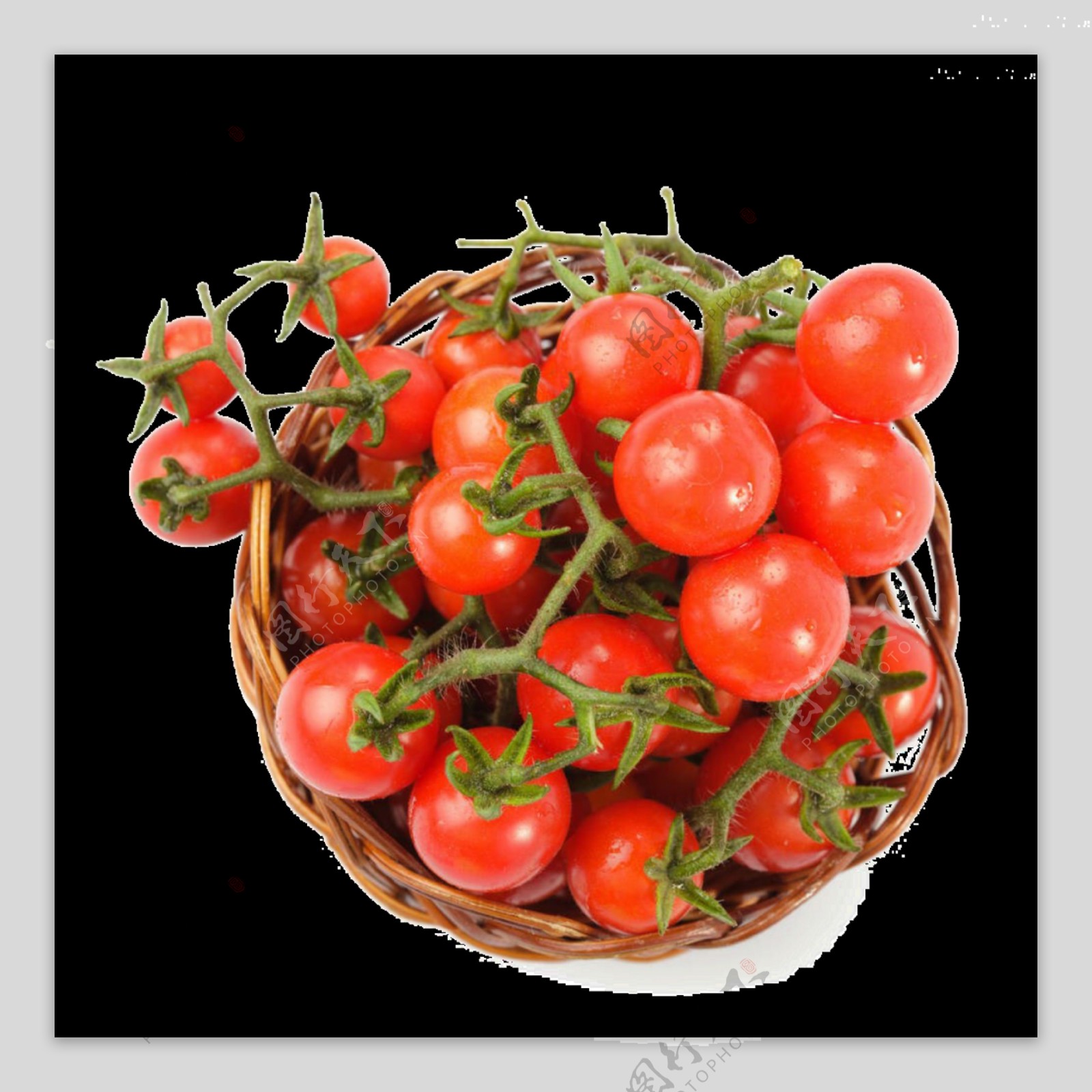 美味的番茄圣女果水果免扣素材