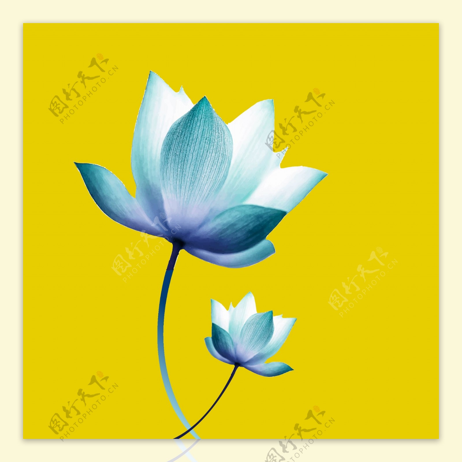 手绘中国风蓝莲花可商用元素