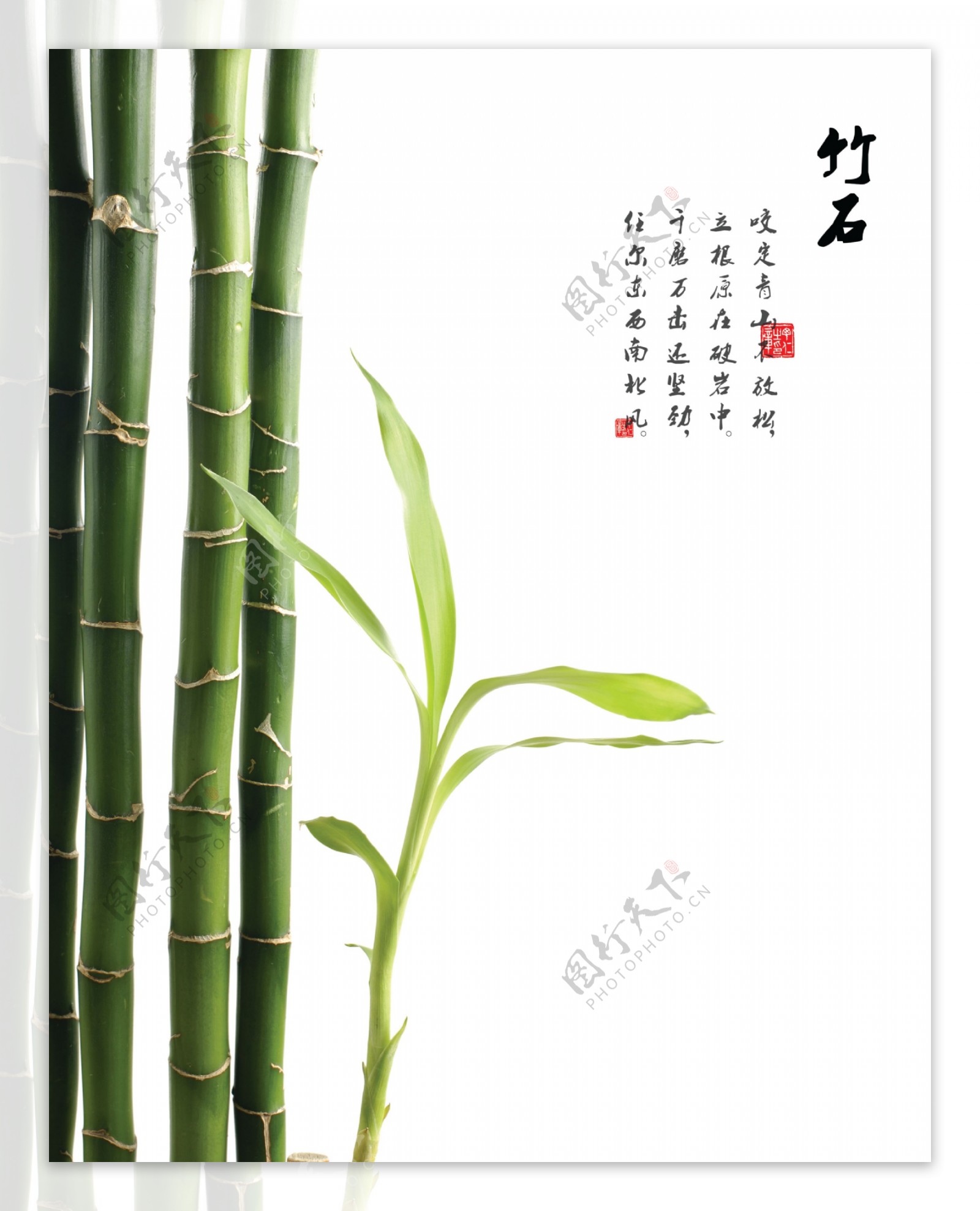 竹子树叶移门设计