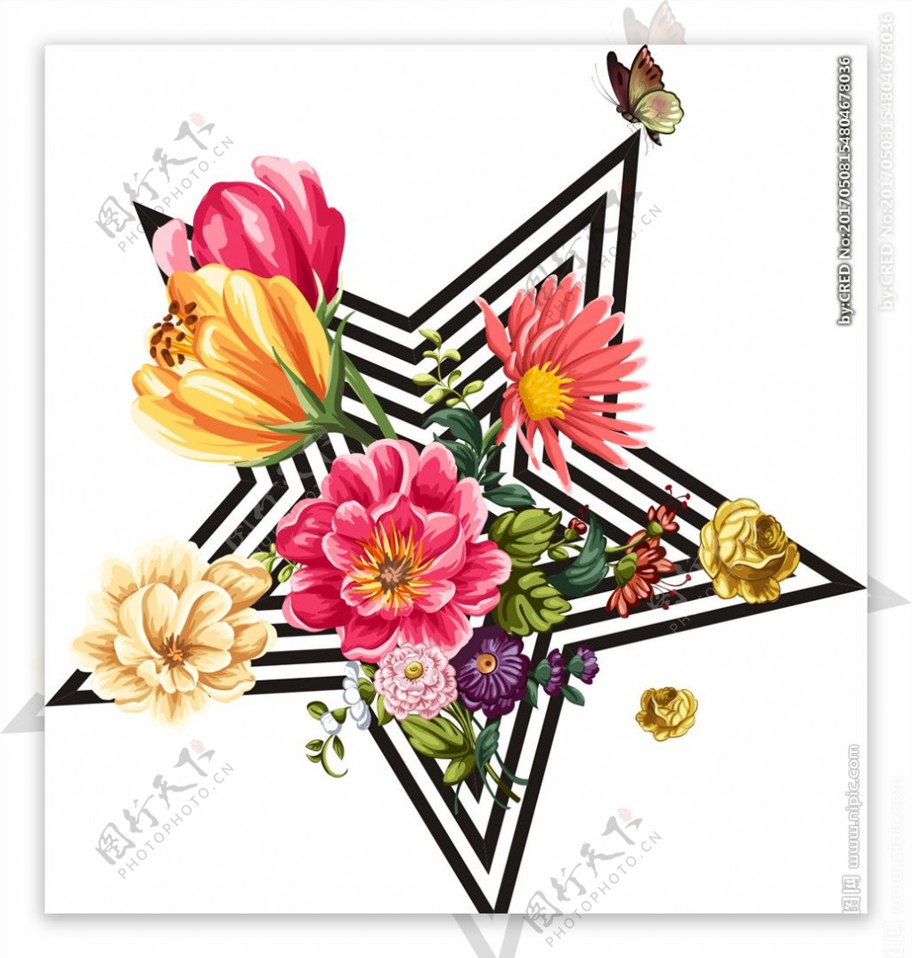 五角星花朵花卉矢量图