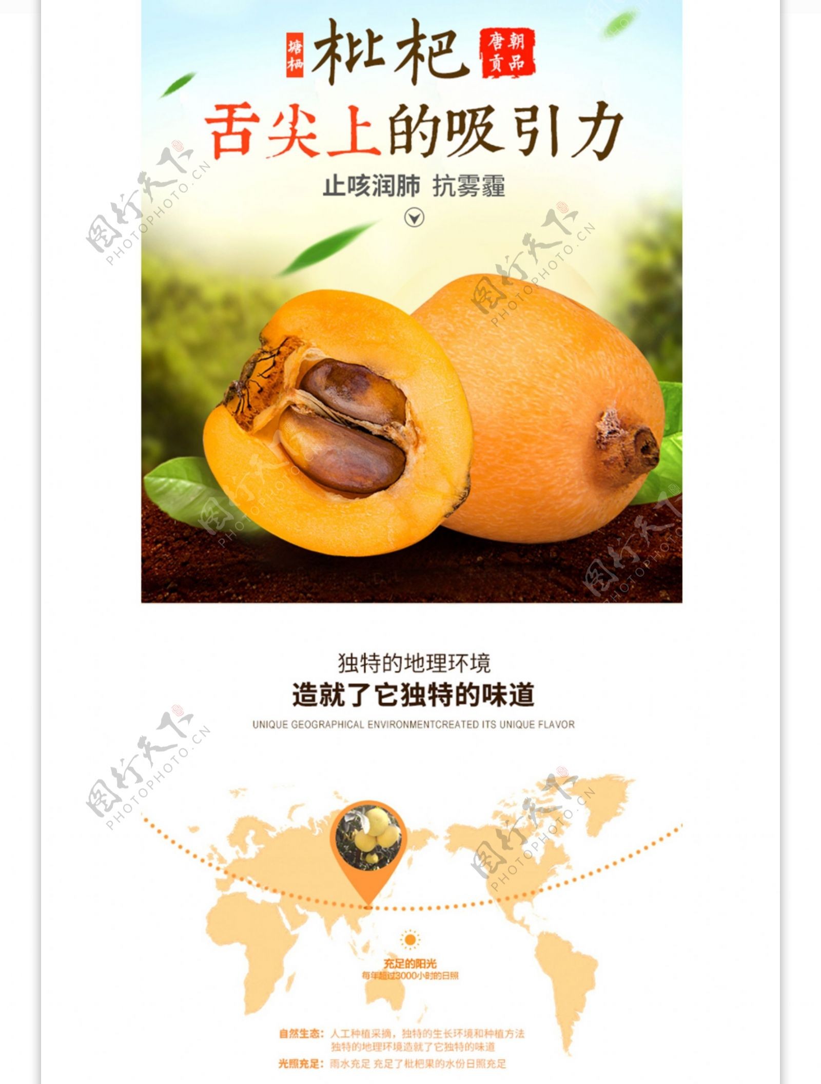 水果枇杷橘子橙子通用详情页