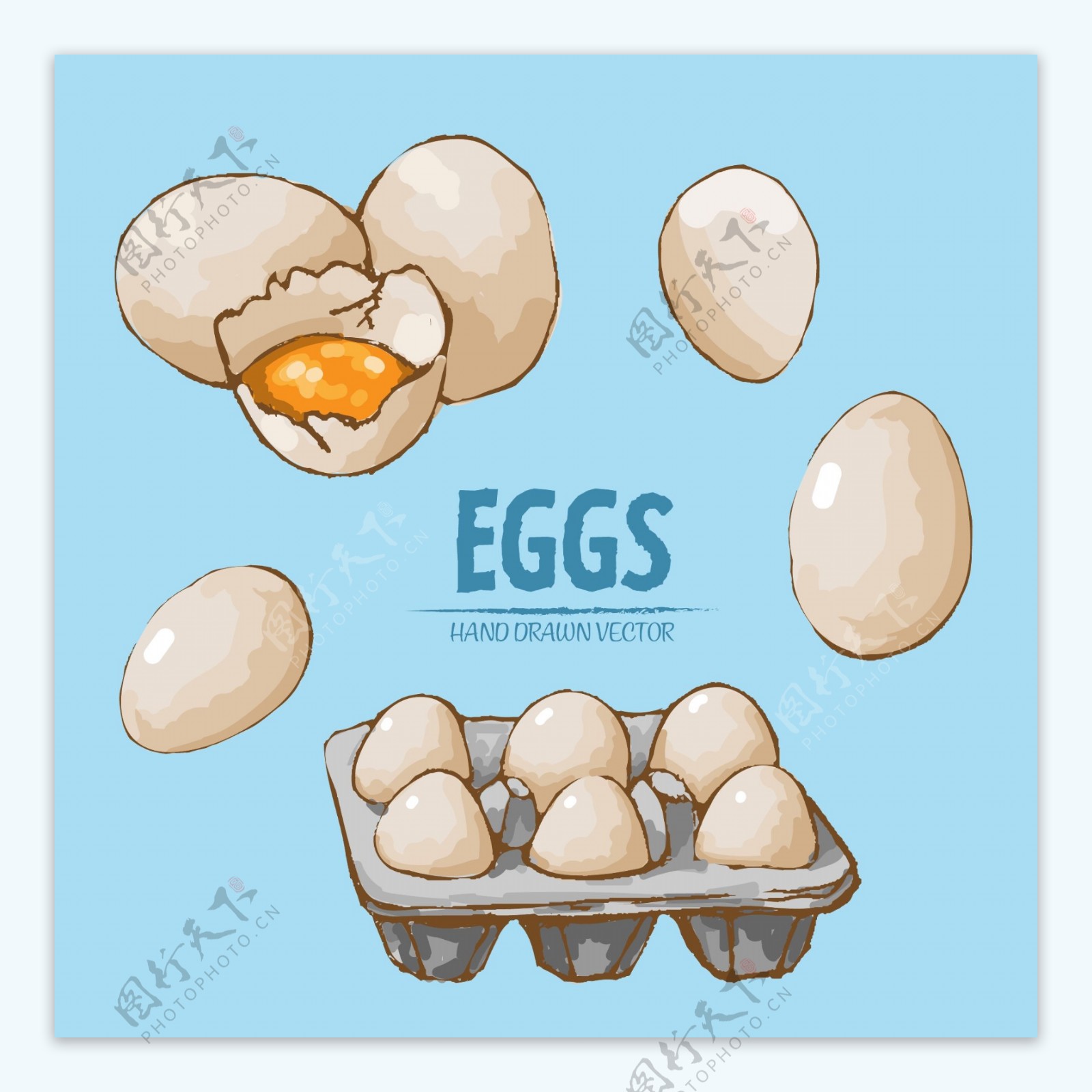 手绘食材鸡蛋