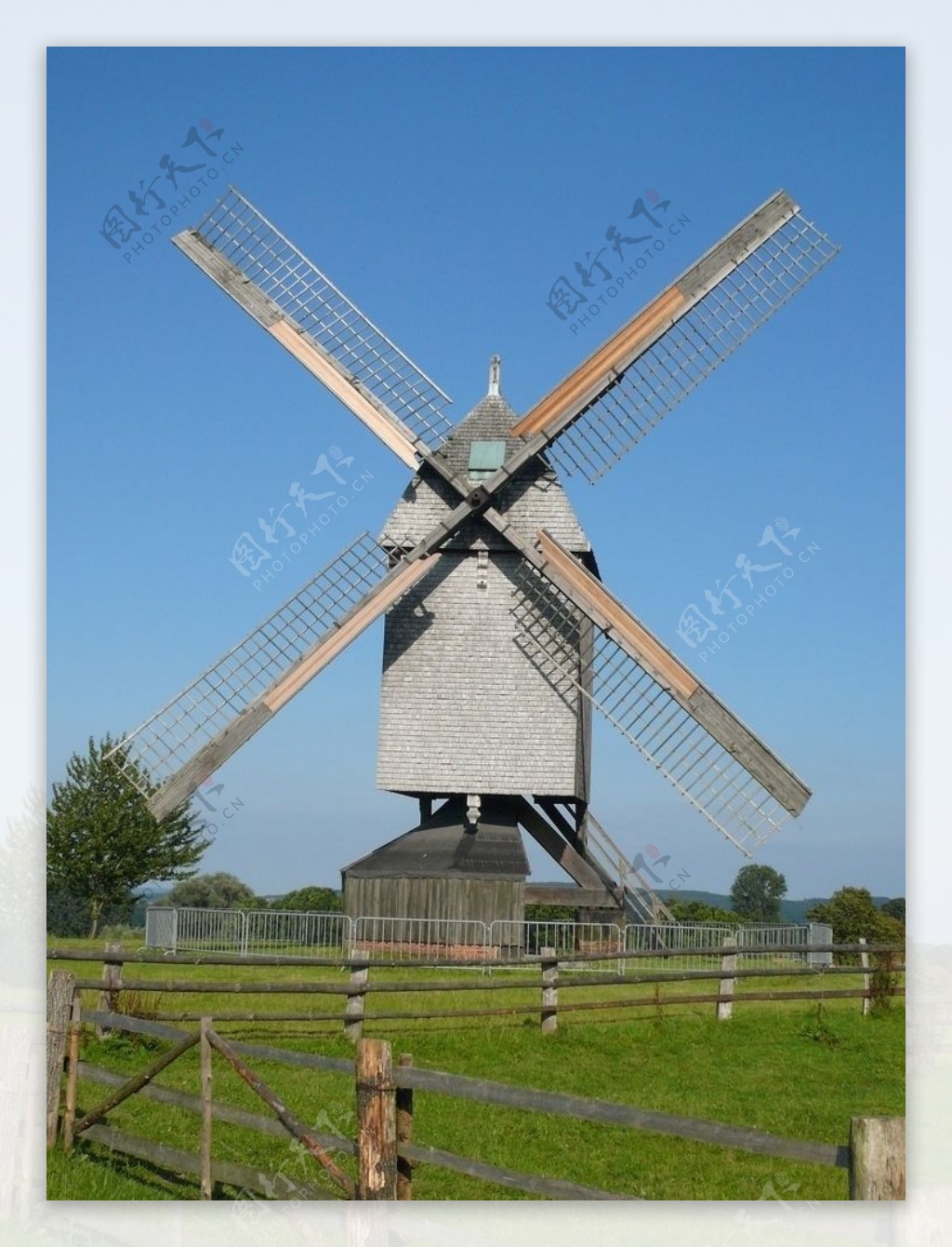 为什么荷兰被称为“风车之国”? - 汤姆猫荒野派对资讯-小米游戏中心