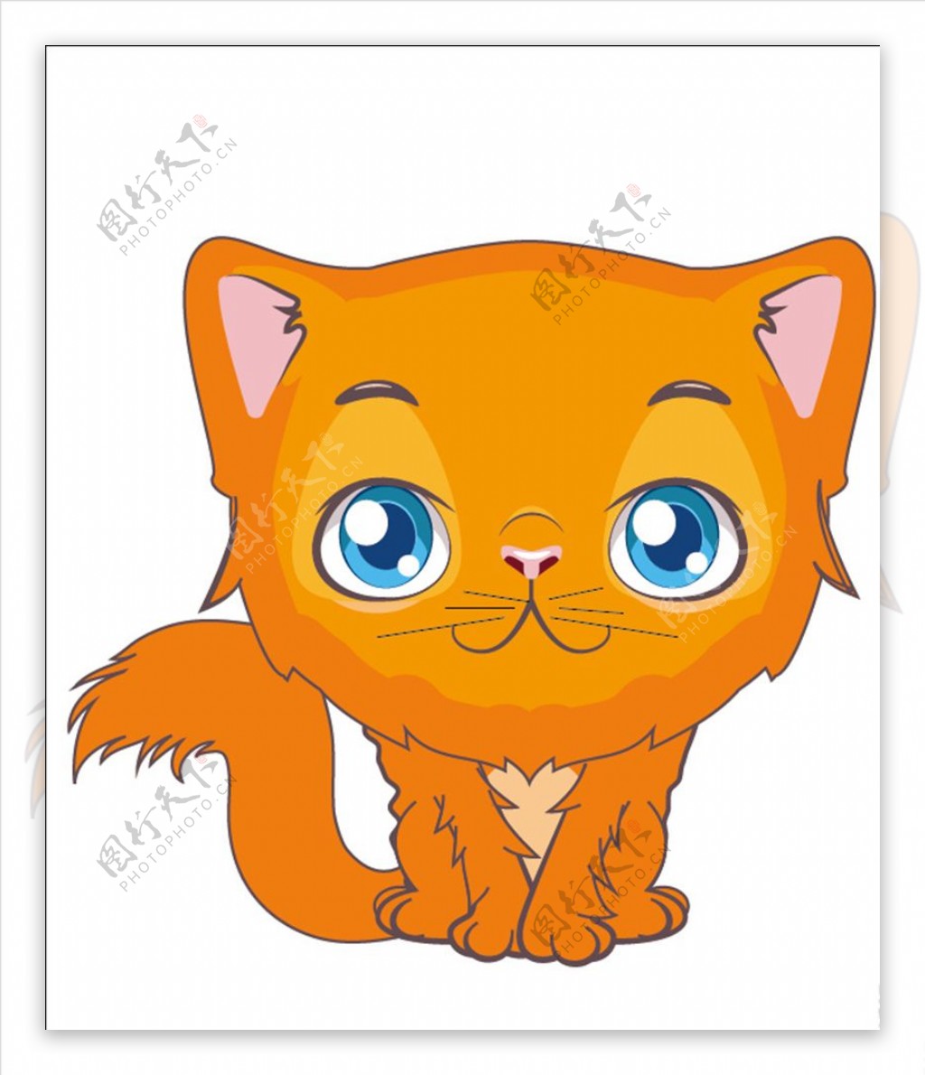橘色布偶猫