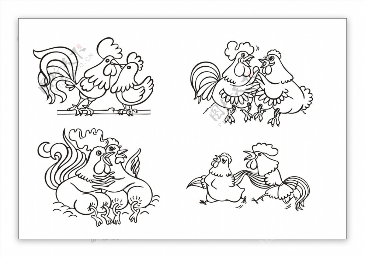 手绘线描小鸡