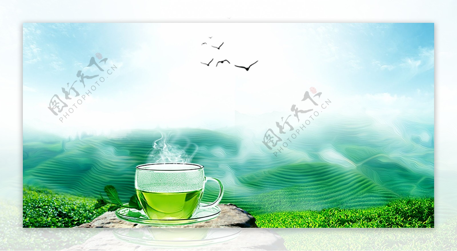 绿色春茶节海报促销背景
