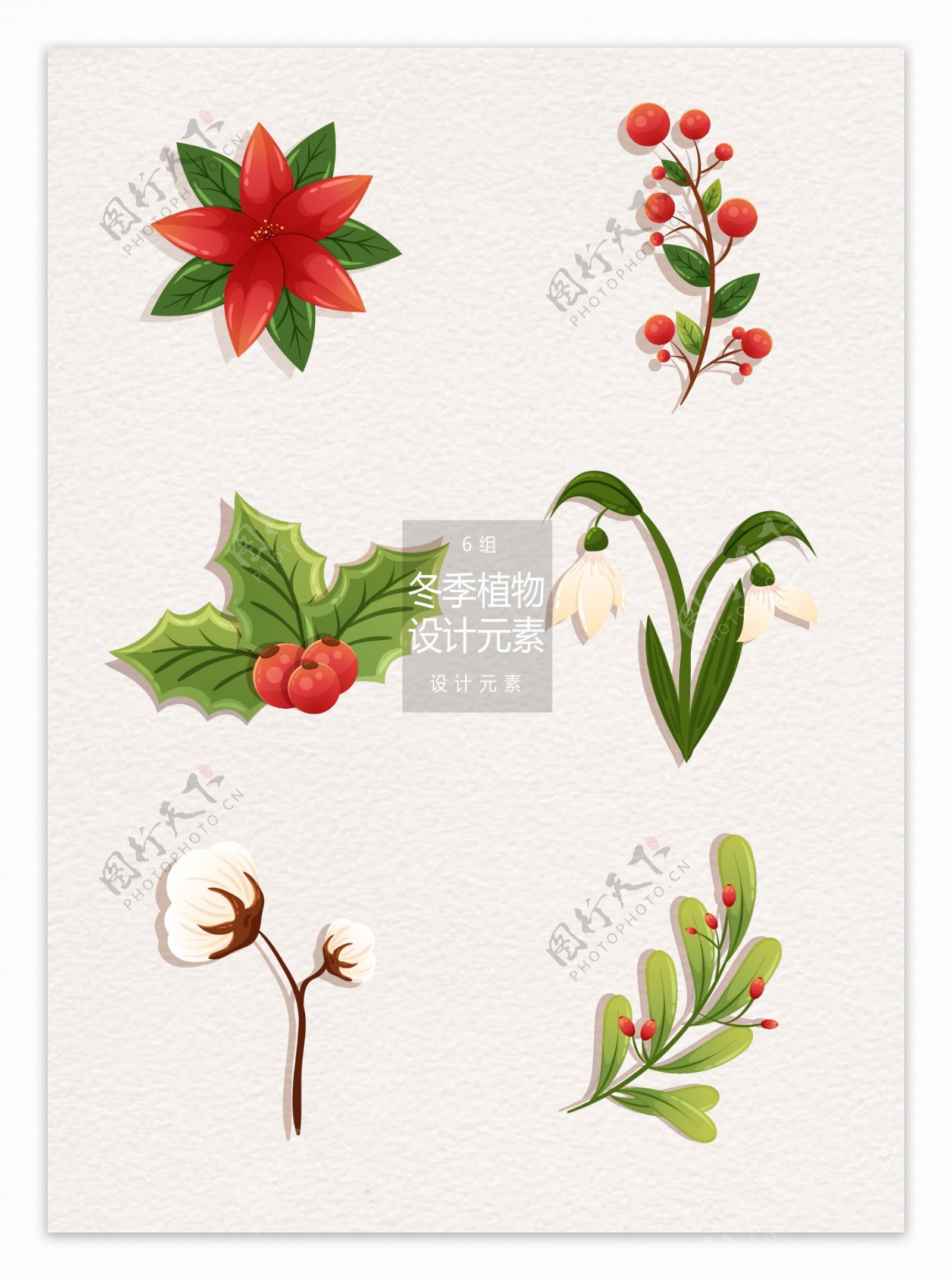 冬季圣诞植物装饰设计元素