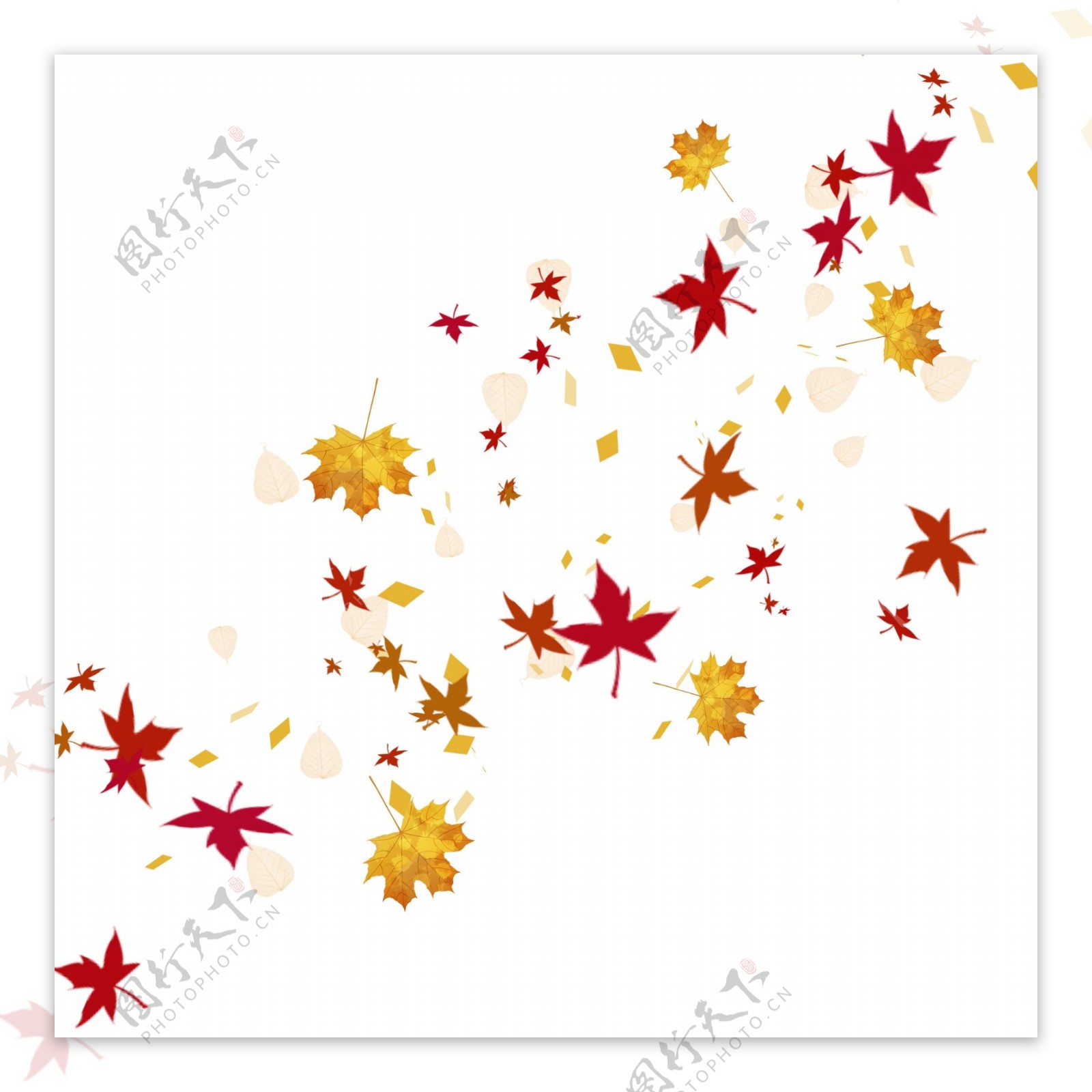 漂浮树叶黄色秋天枫叶浪漫装饰