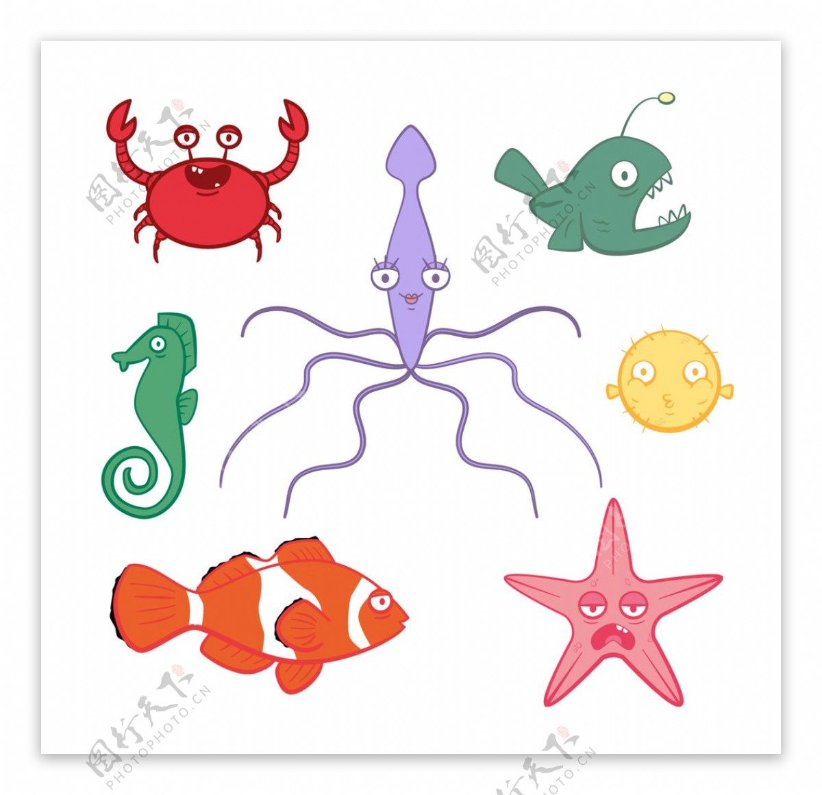 海洋动物插图