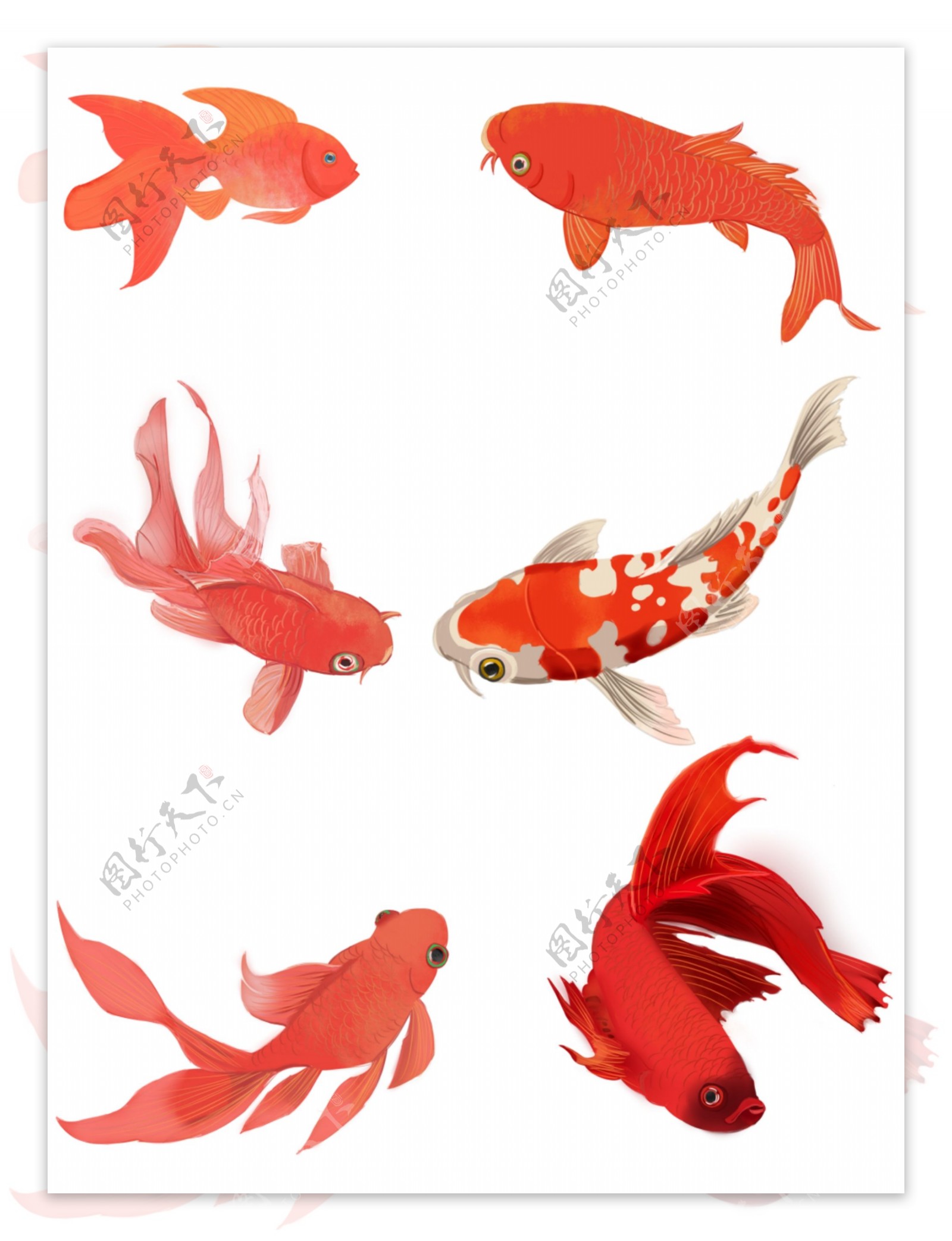 可商用红色喜庆中国风手绘金鱼装饰图案合集