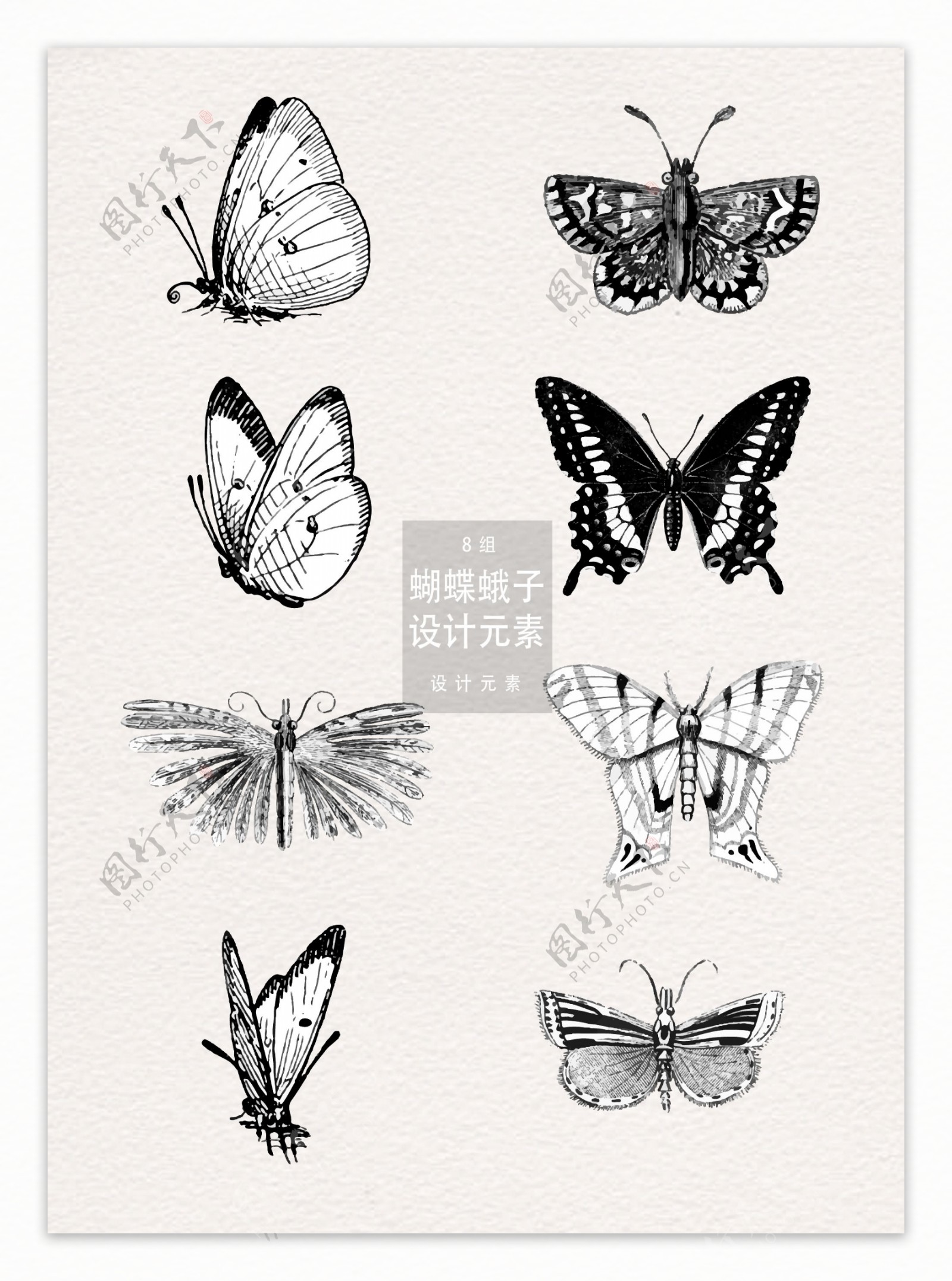 蝴蝶蛾子手绘插画设计元素