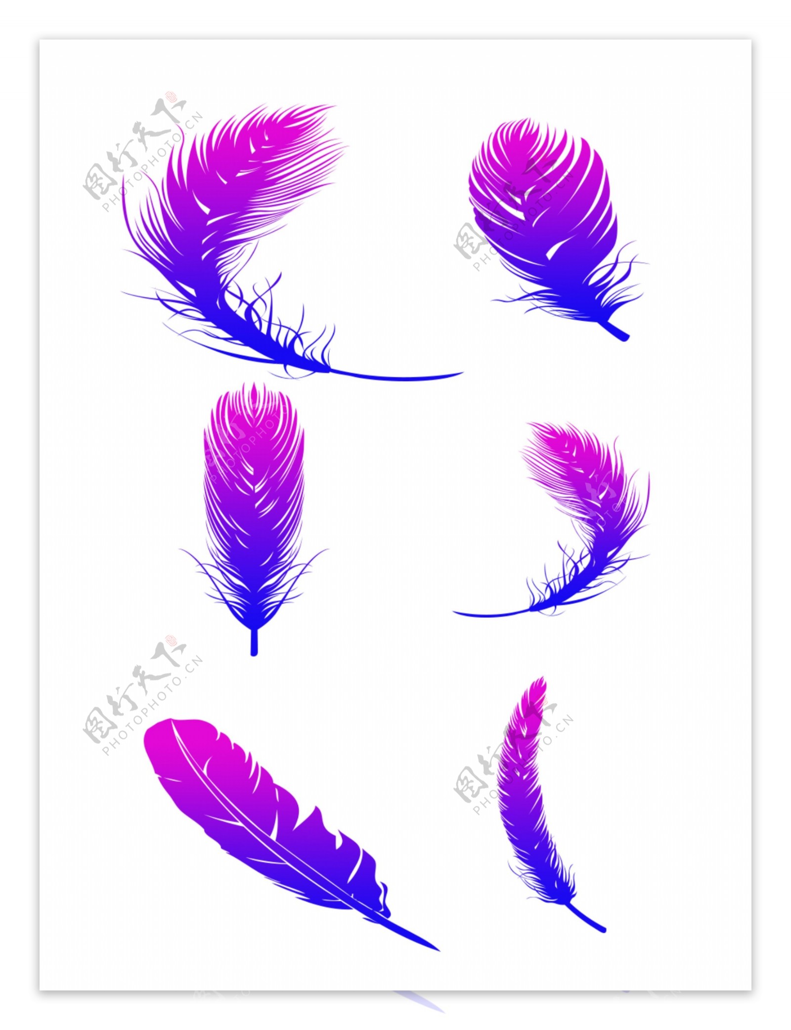 羽毛蓝紫色渐变装饰素材可商用简约