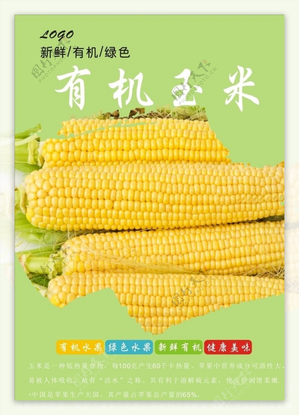 玉米海报