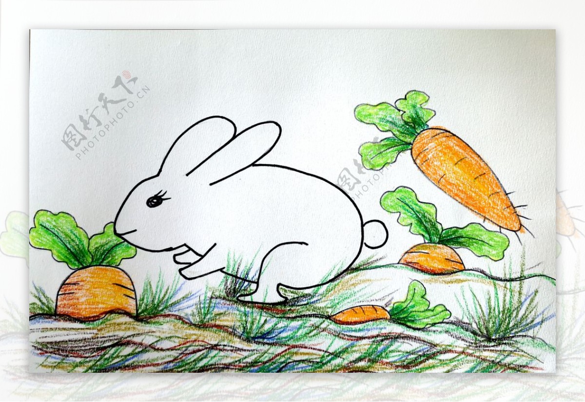 小兔子和胡萝卜简笔画图片进程（十一儿童绘画） - 有点网 - 好手艺