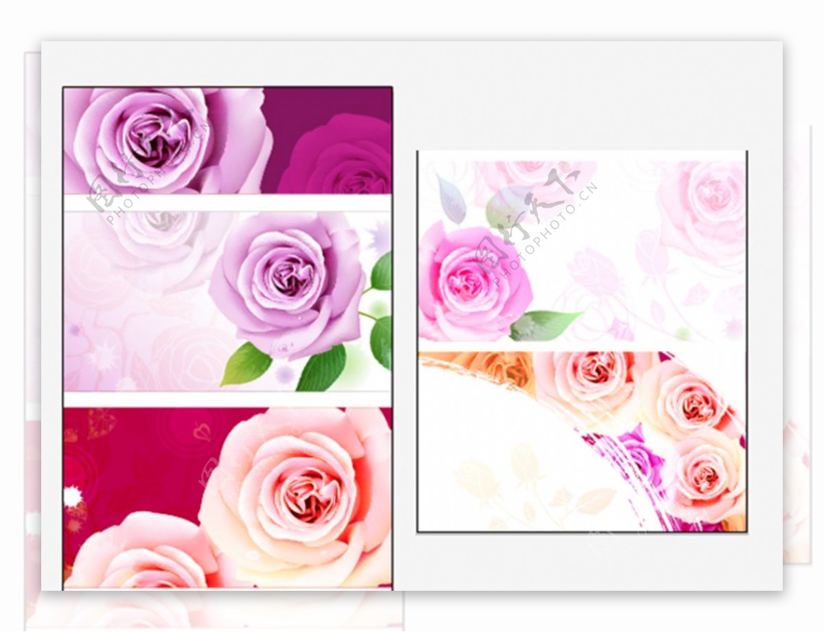 玫瑰花卡片设计