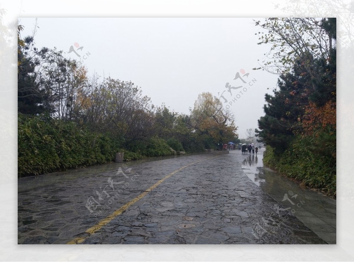 雨天的公园风景