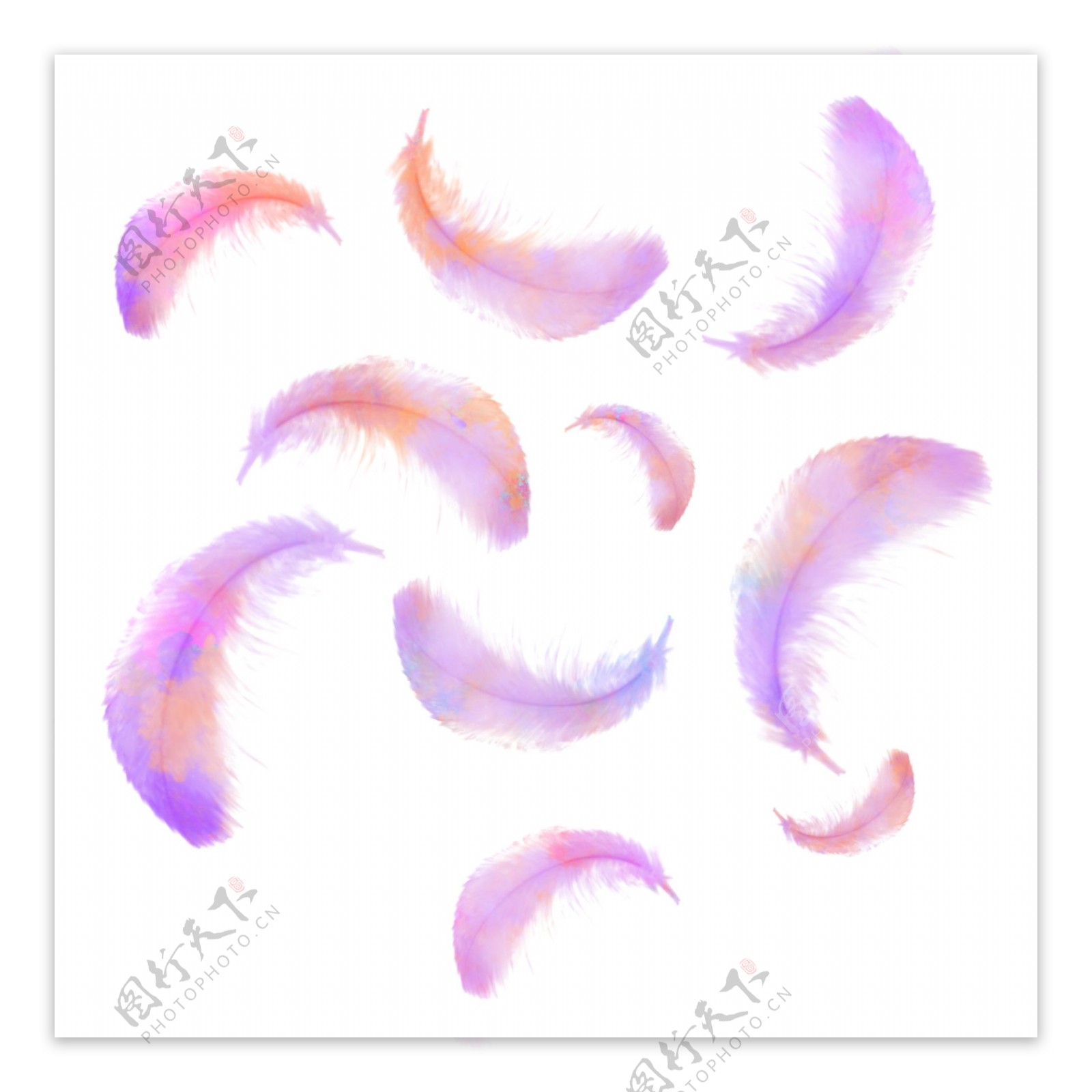 水彩粉色紫色渐变羽毛漂浮设计元素背景底纹
