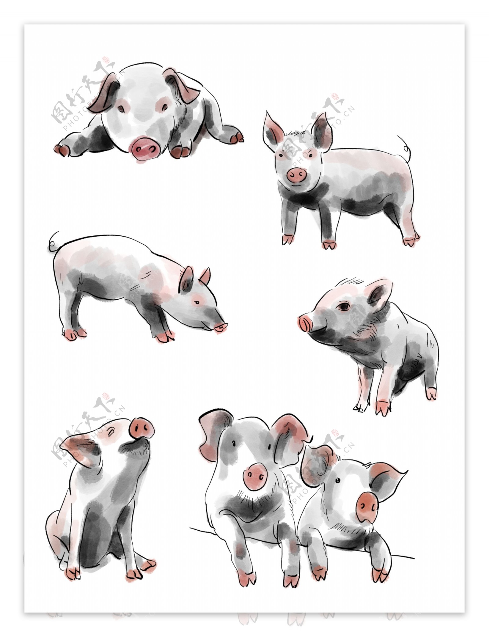 水墨猪卡通手绘动物