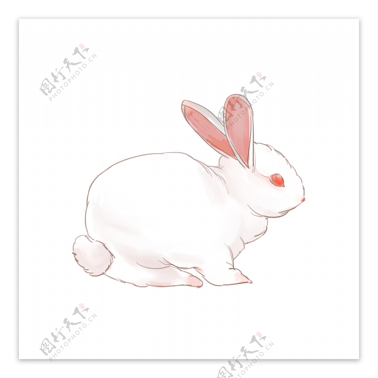 水彩手绘风可爱动物兔子