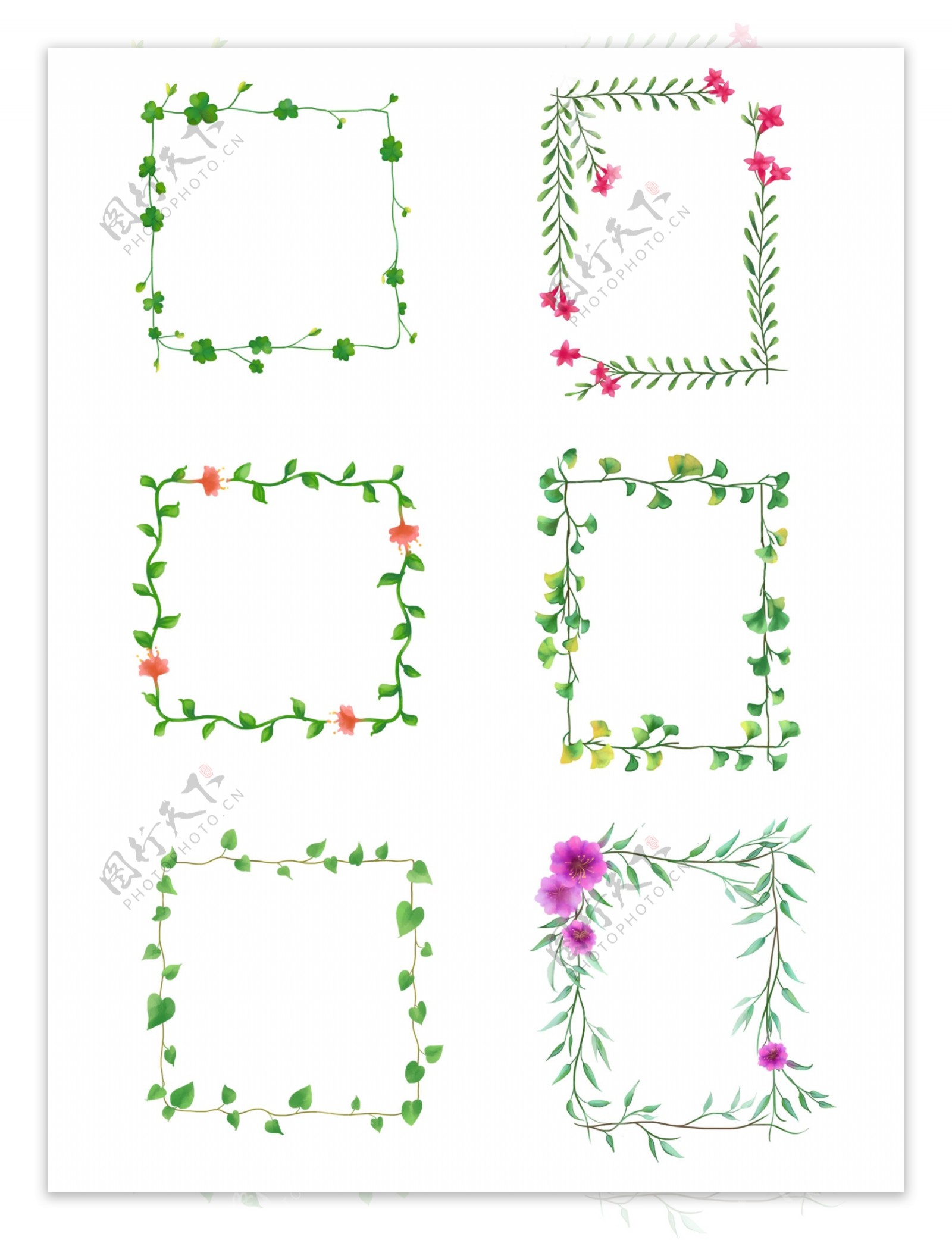 手绘植物边框水彩绿叶花卉边框藤条方形边框