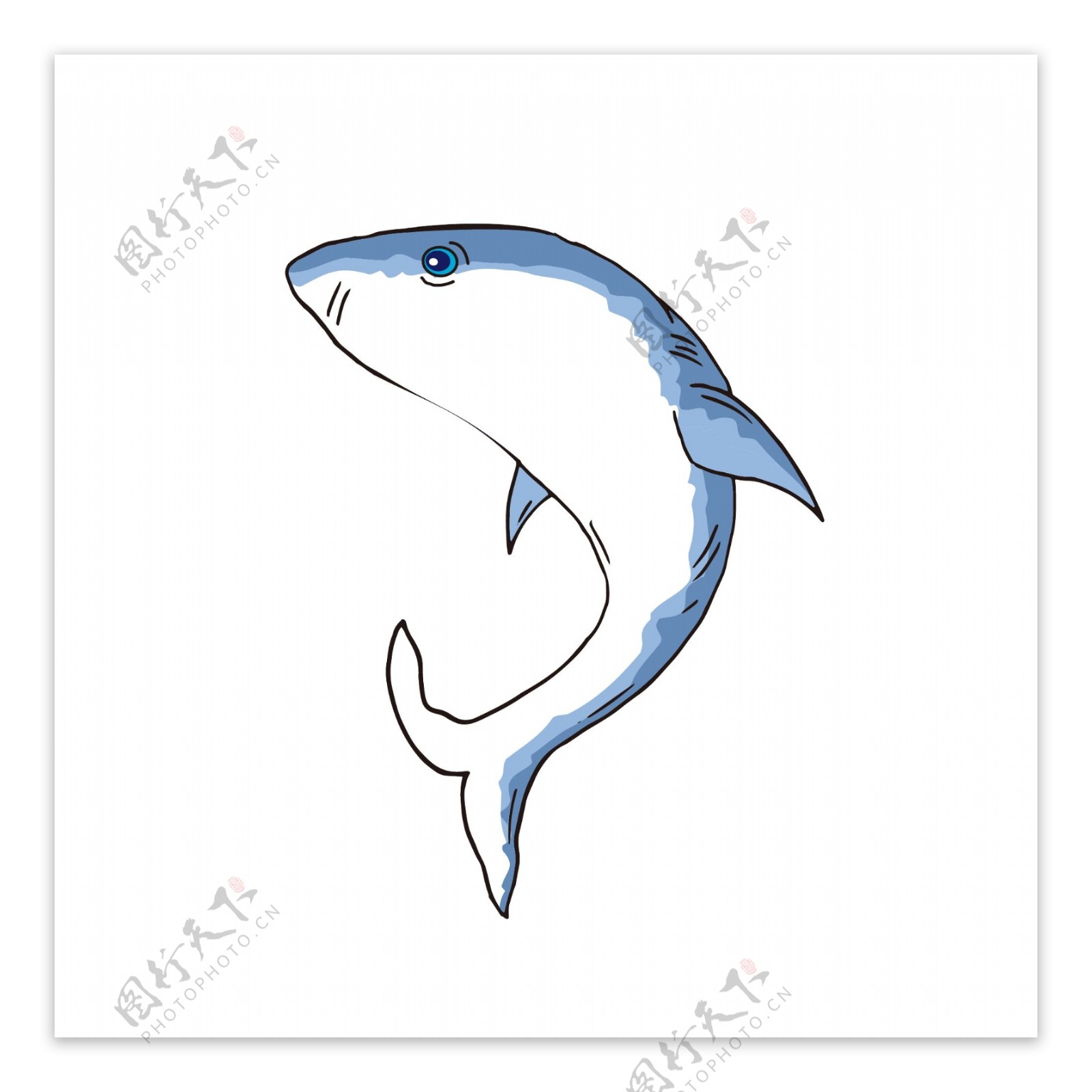 手绘水彩海洋动物蓝色海豚
