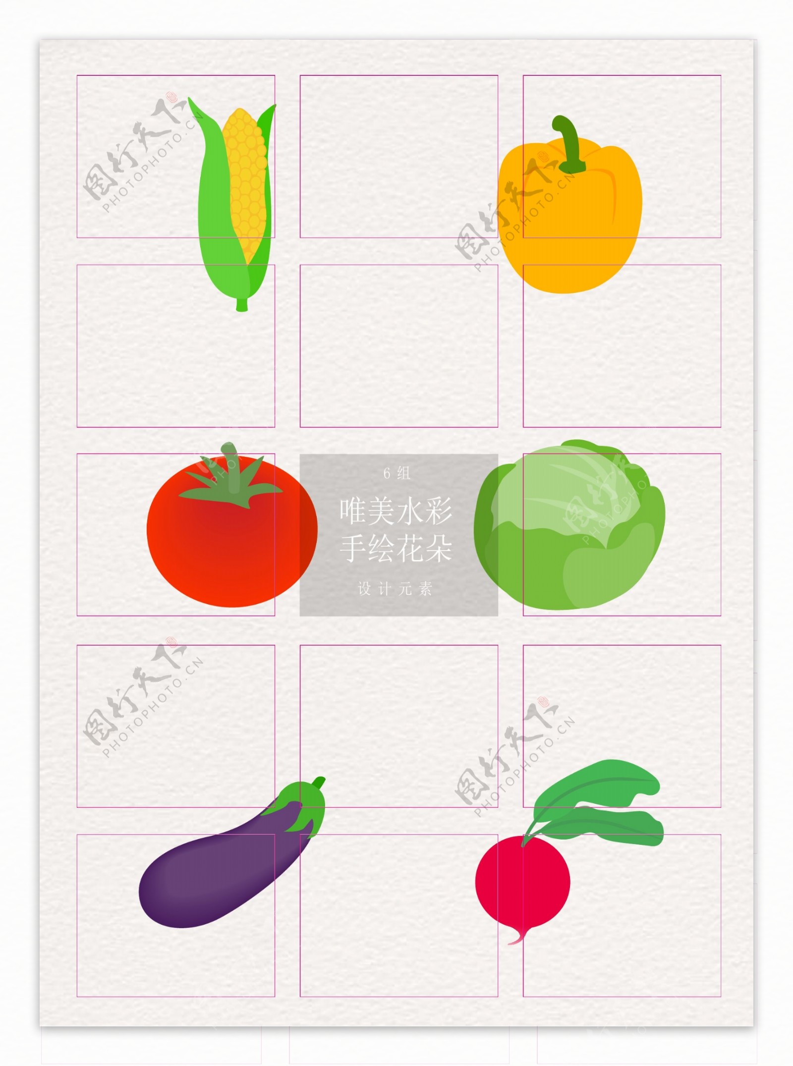 卡通6组营养蔬菜设计