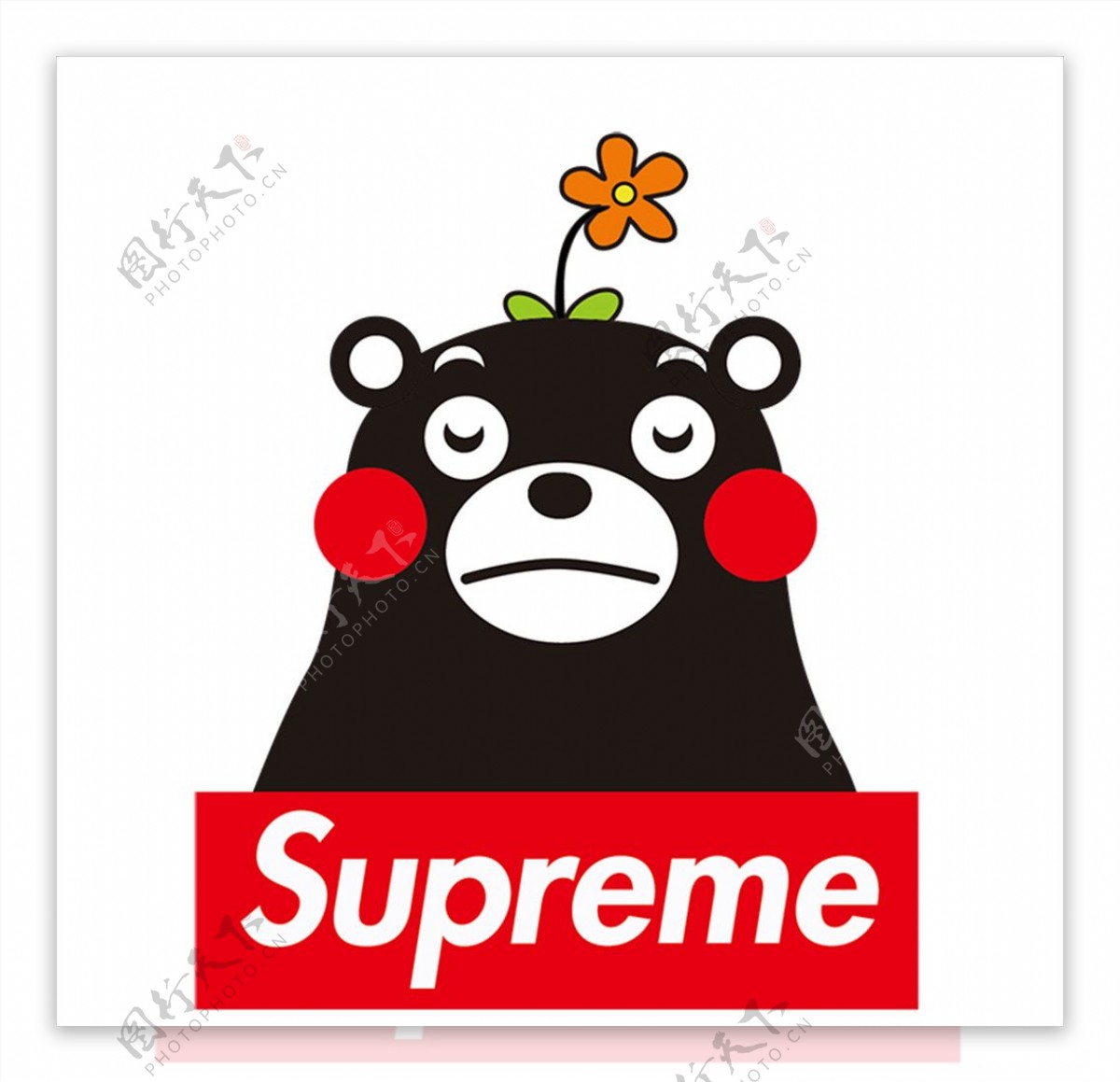 熊本supreme