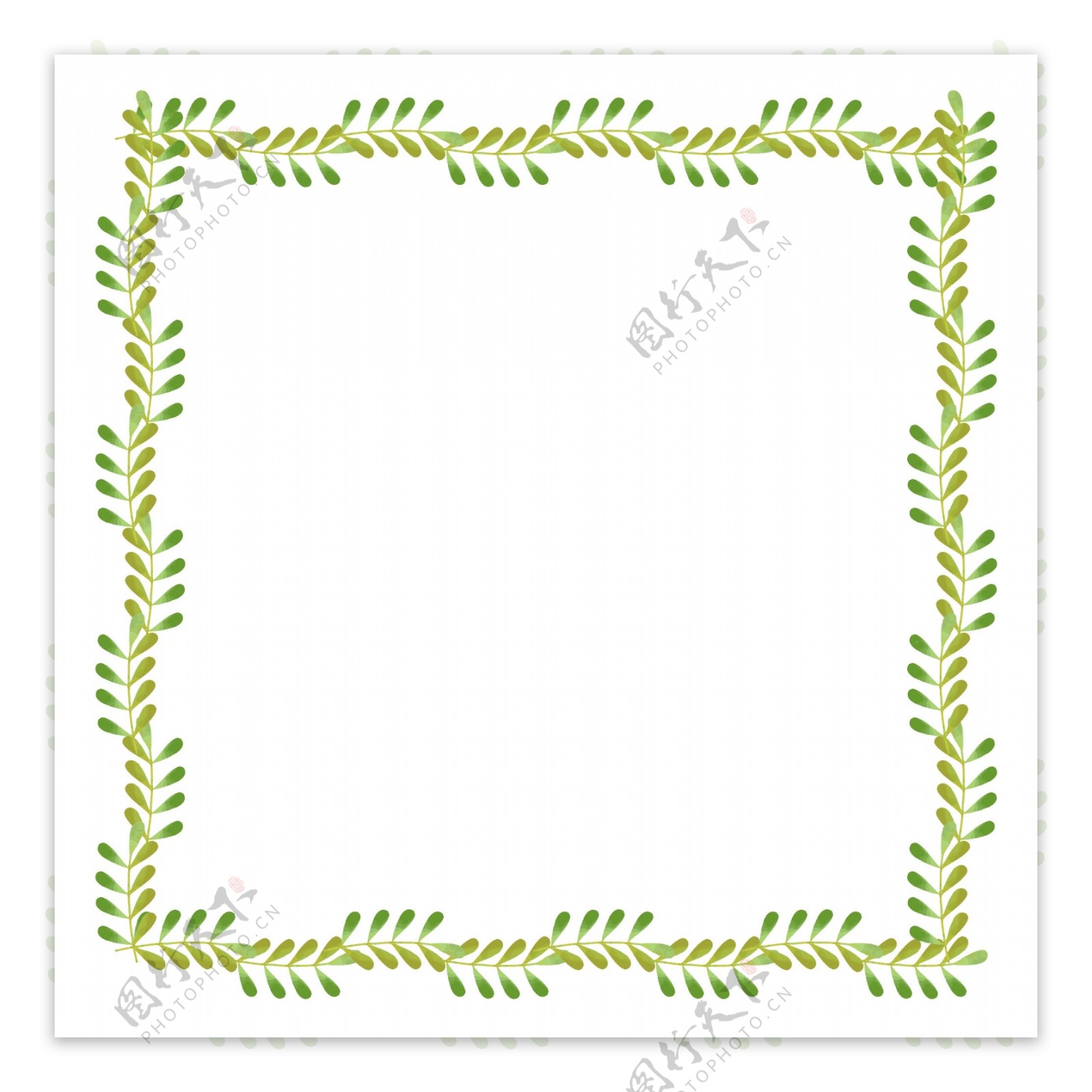 矢量图手绘绿色植物方形边框