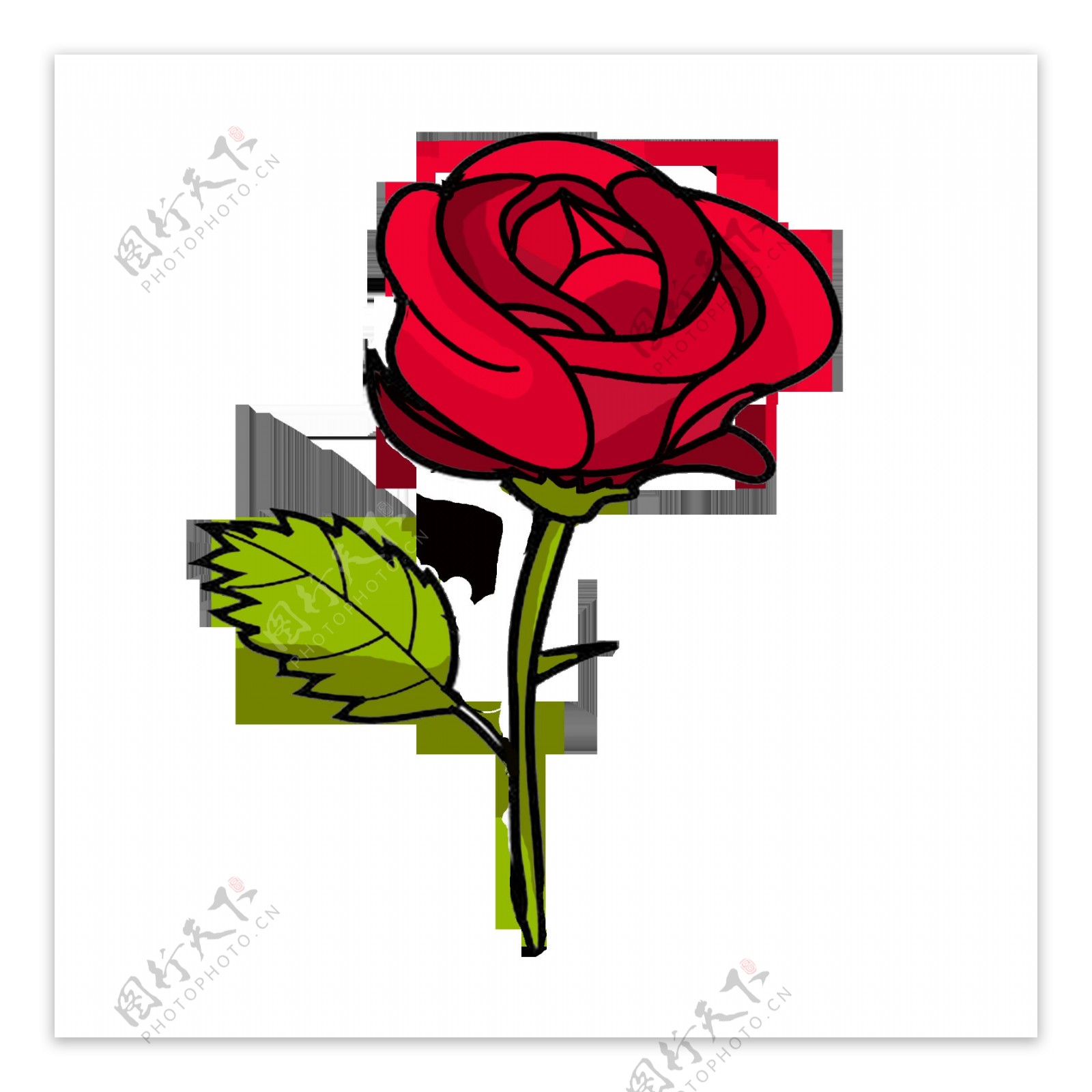 漂亮的红色玫瑰花插画