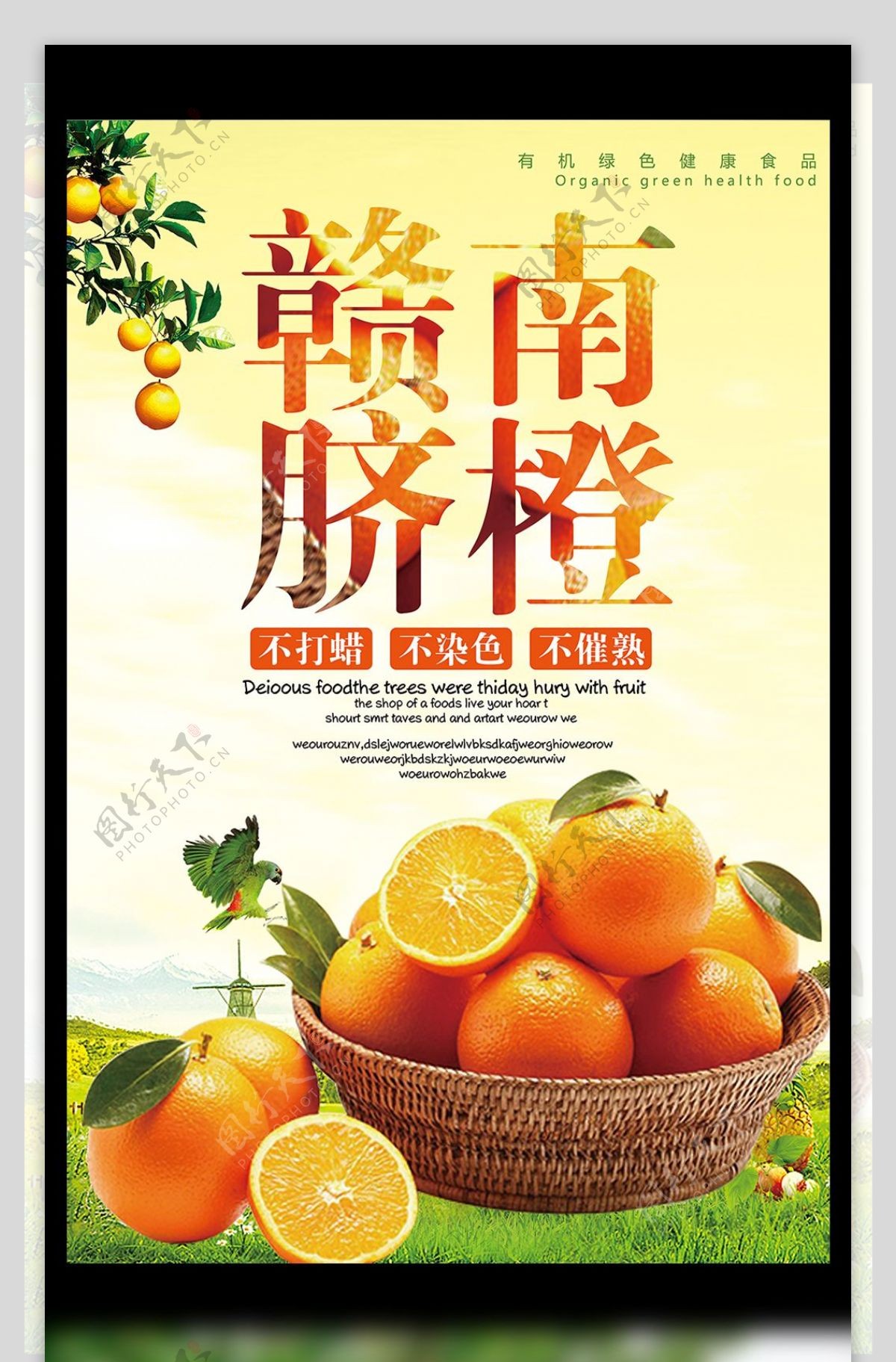 2017时尚大气赣南脐橙水果海报设计模板