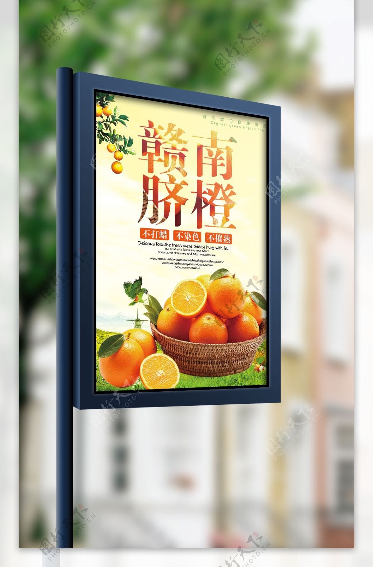 2017时尚大气赣南脐橙水果海报设计模板