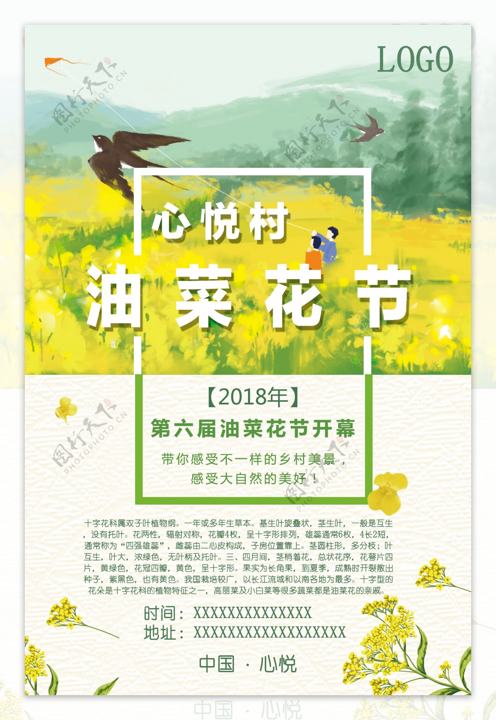 小清新风油菜花节宣传海报