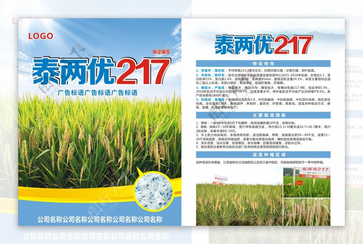 水稻宣传单页