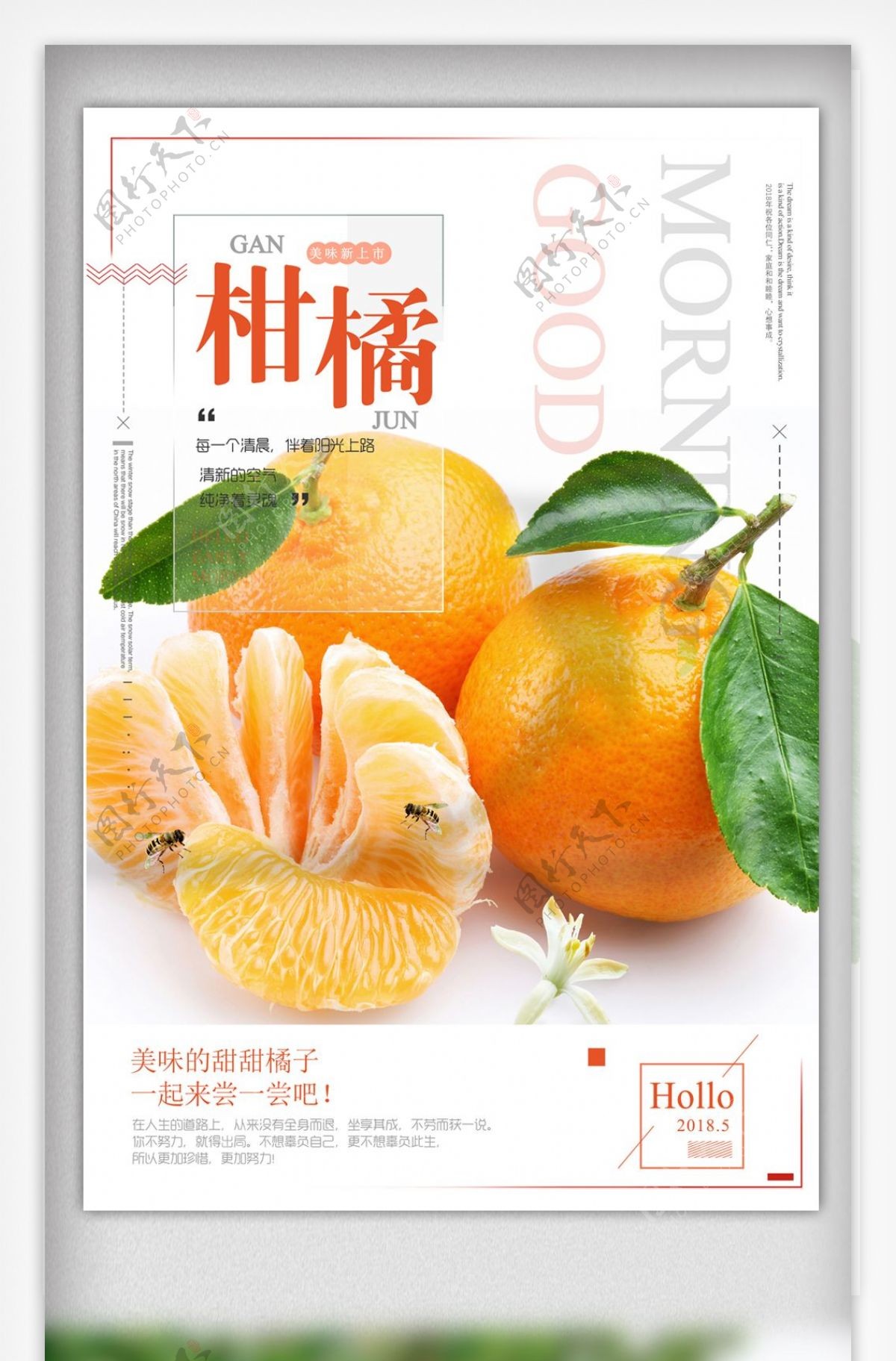 新鲜柑橘超市促销海报设计