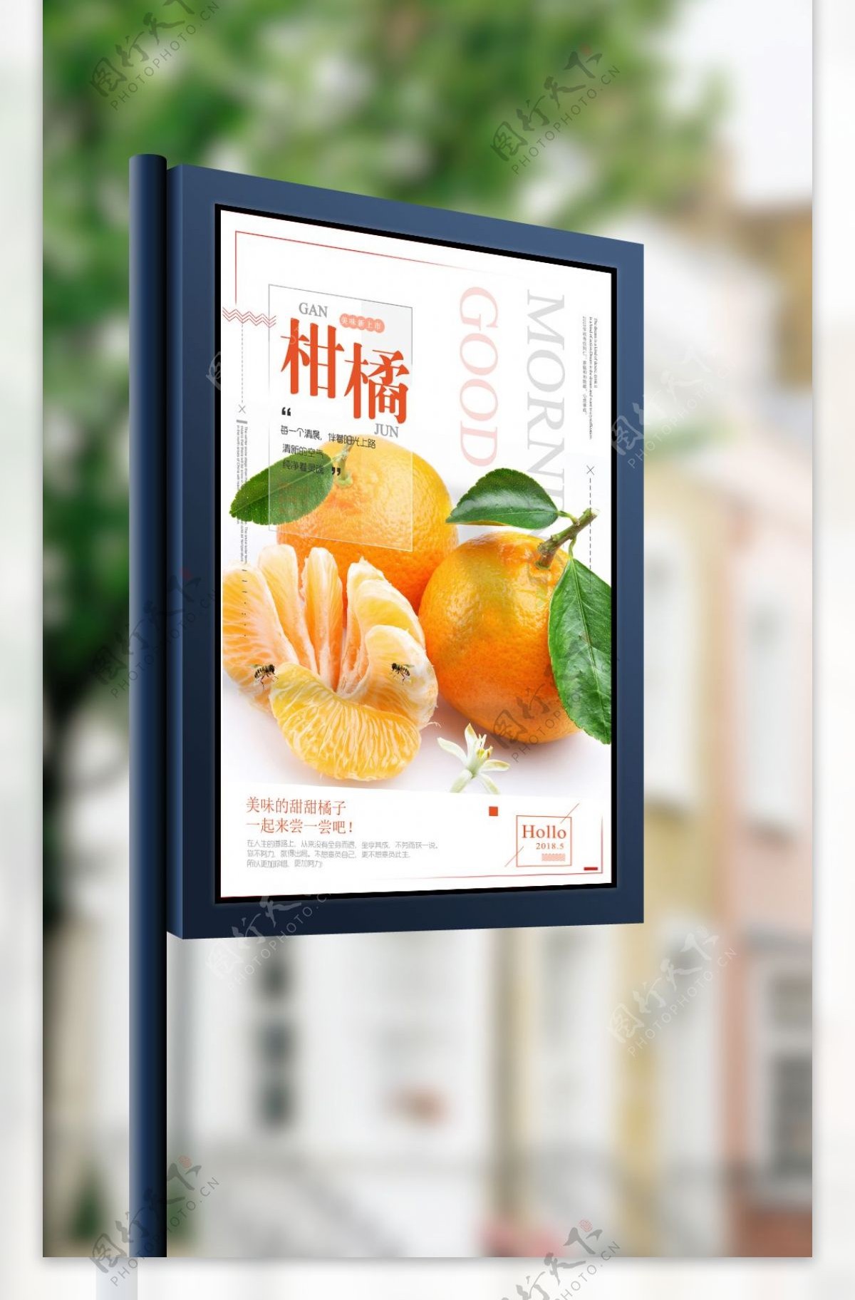 新鲜柑橘超市促销海报设计