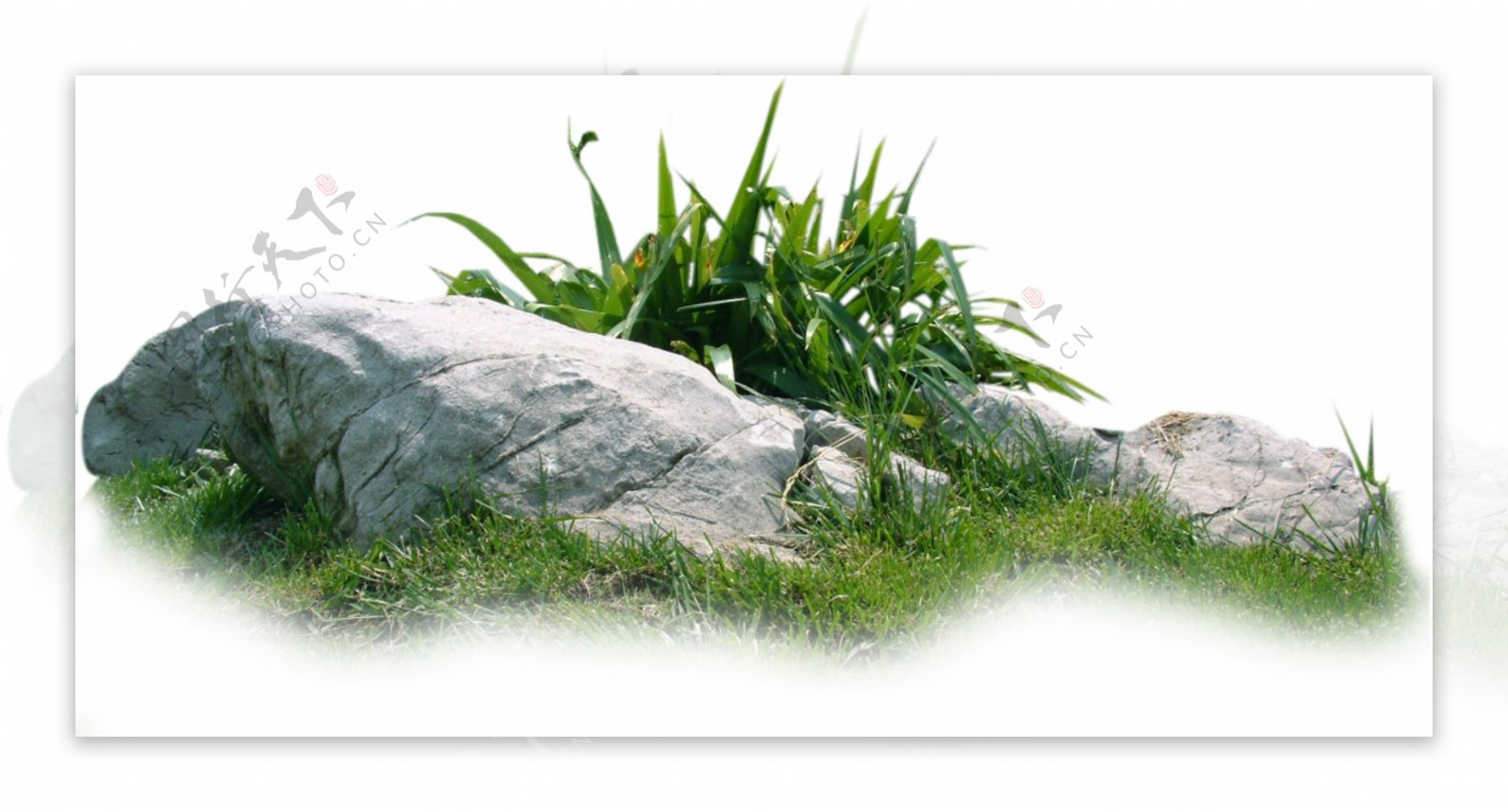 草丛石头荒野绿色景观素材