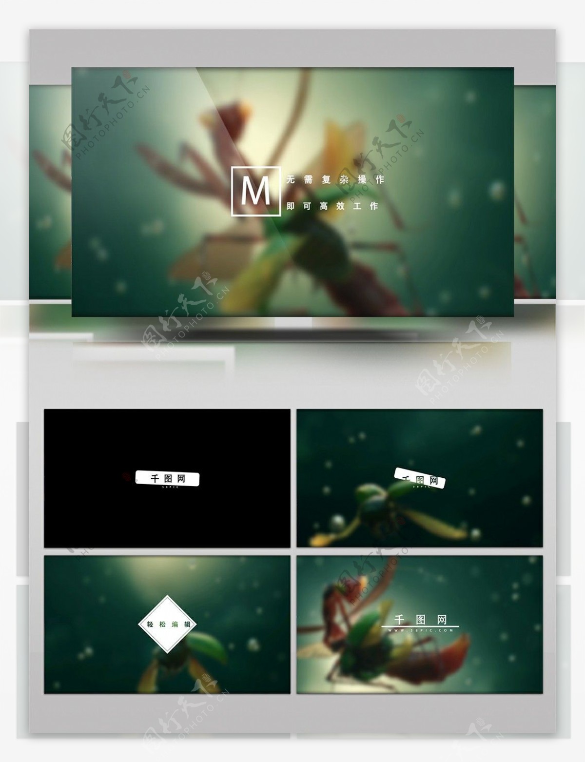 极简风格文字标题MG动画宣传视频AE模板