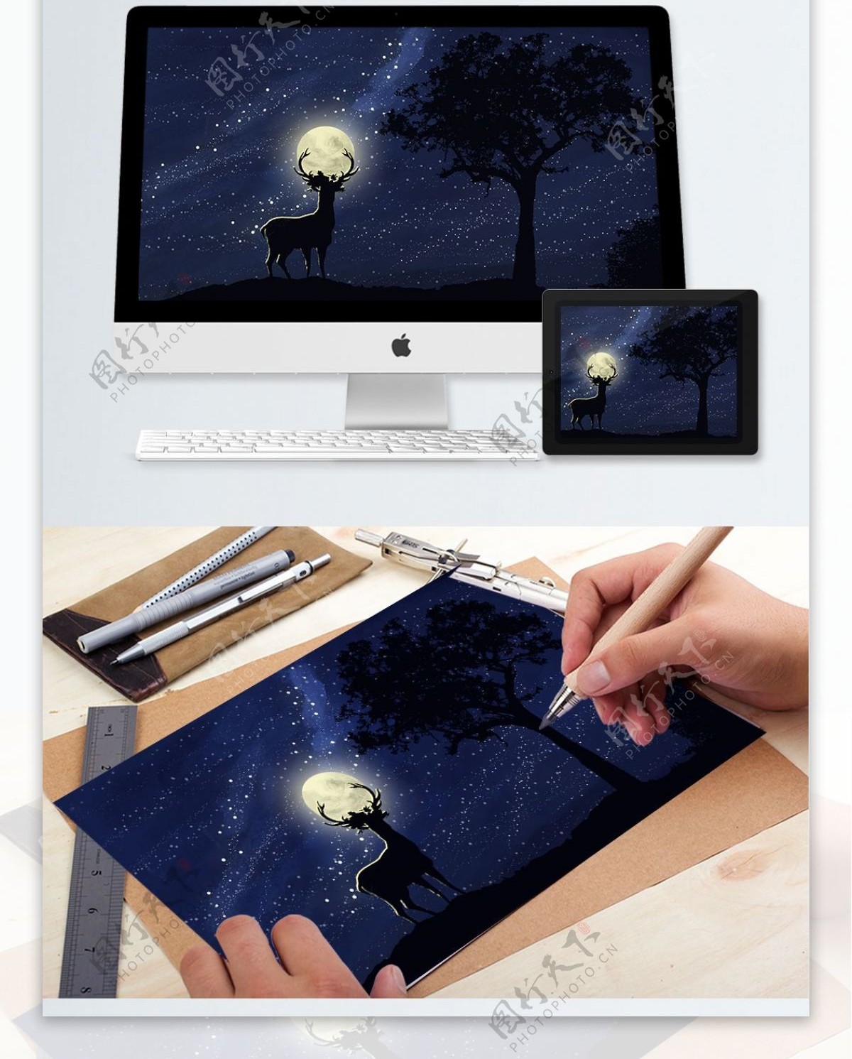 月亮夜晚鹿插画