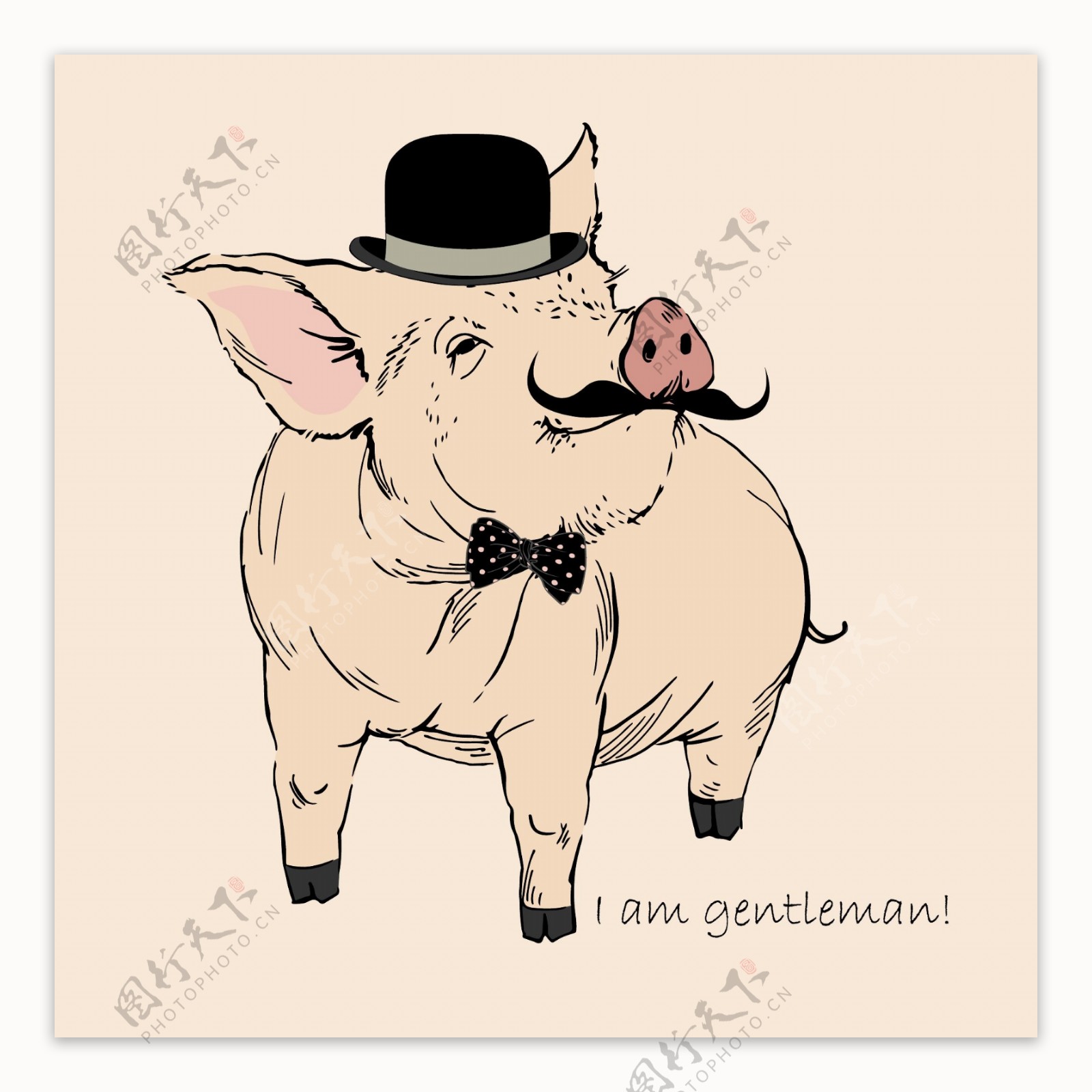 可爱小猪猪动物绅士矢量素材